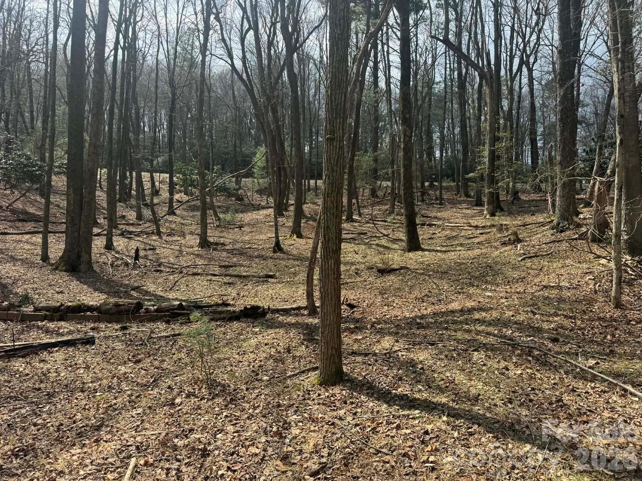 Lot at TBD Ward Circle Drive, Sparta, photo 10 of 21
