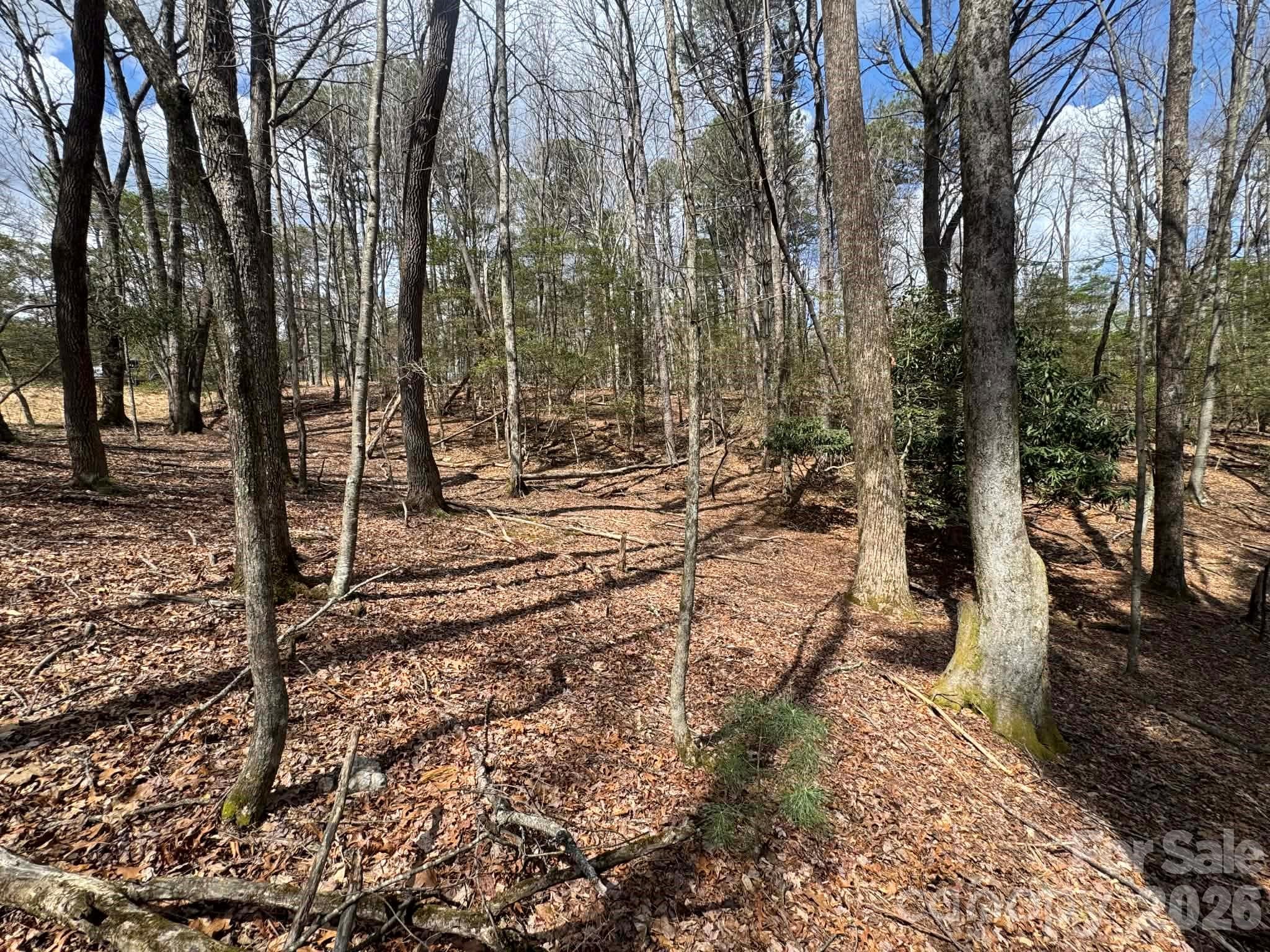 Lot at TBD Ward Circle Drive, Sparta, photo 12 of 21