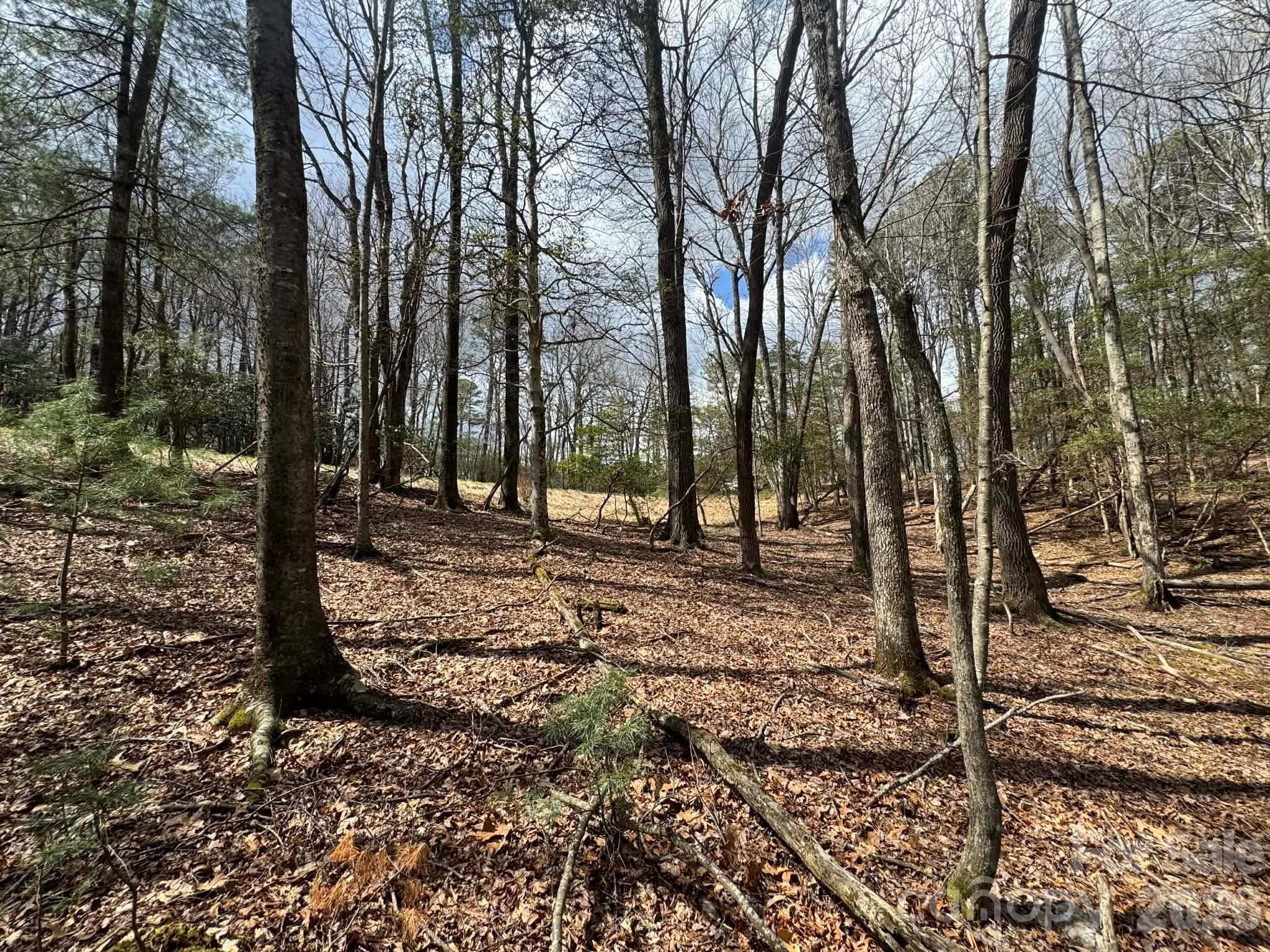 Lot at TBD Ward Circle Drive, Sparta, photo 13 of 21
