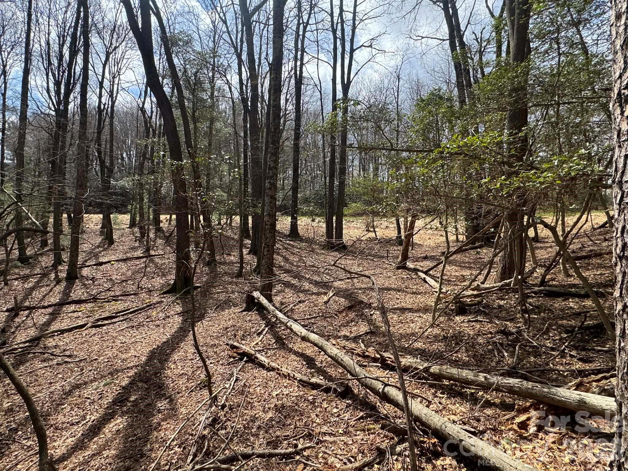 Lot at TBD Ward Circle Drive, Sparta, photo 15 of 21