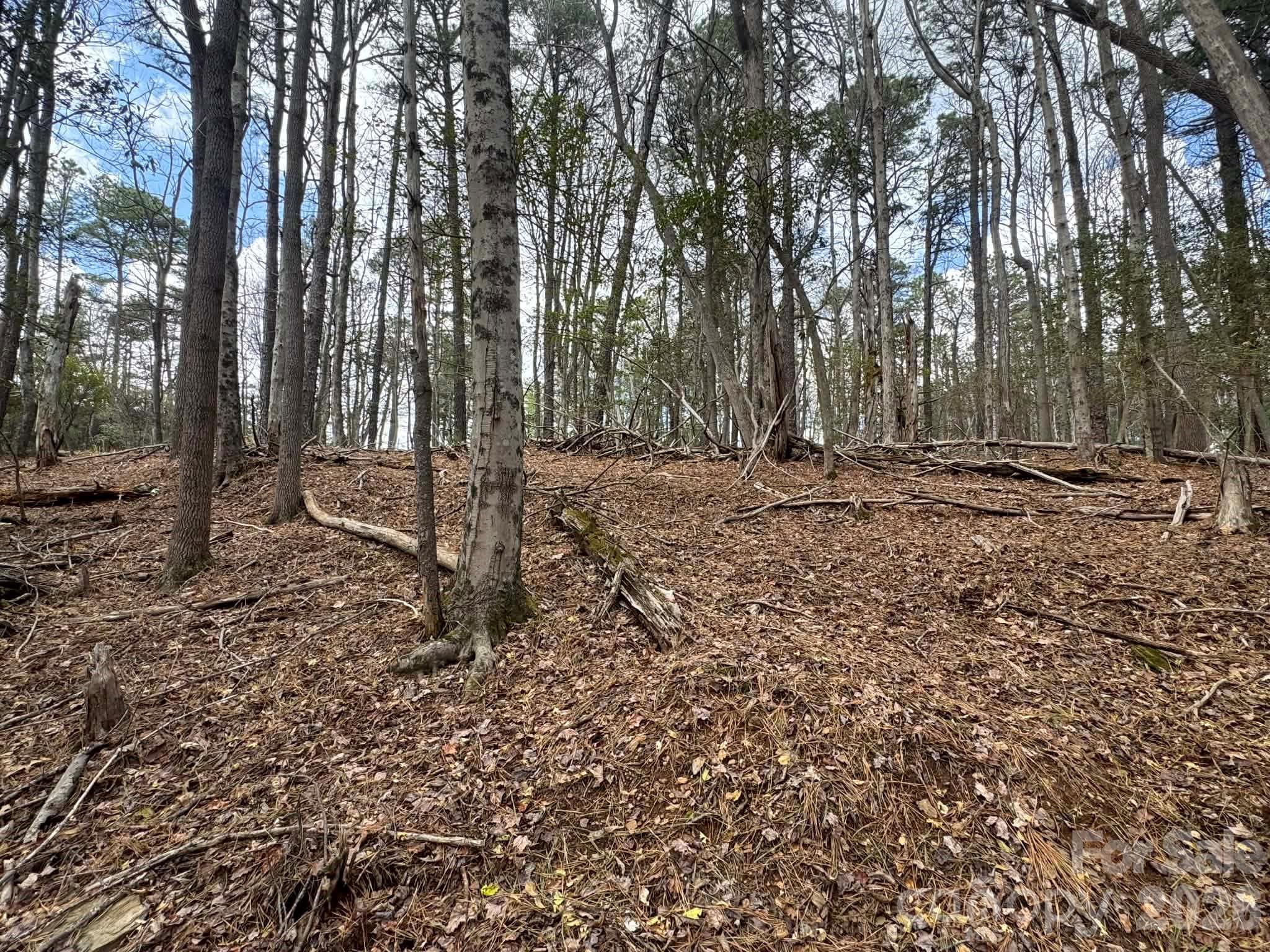 Lot at TBD Ward Circle Drive, Sparta, photo 16 of 21