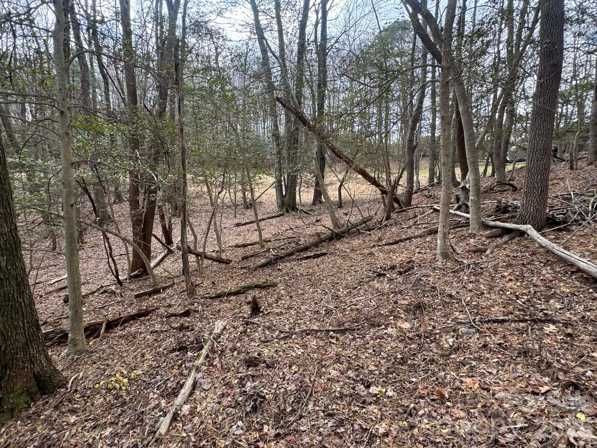 Lot at TBD Ward Circle Drive, Sparta, photo 17 of 21