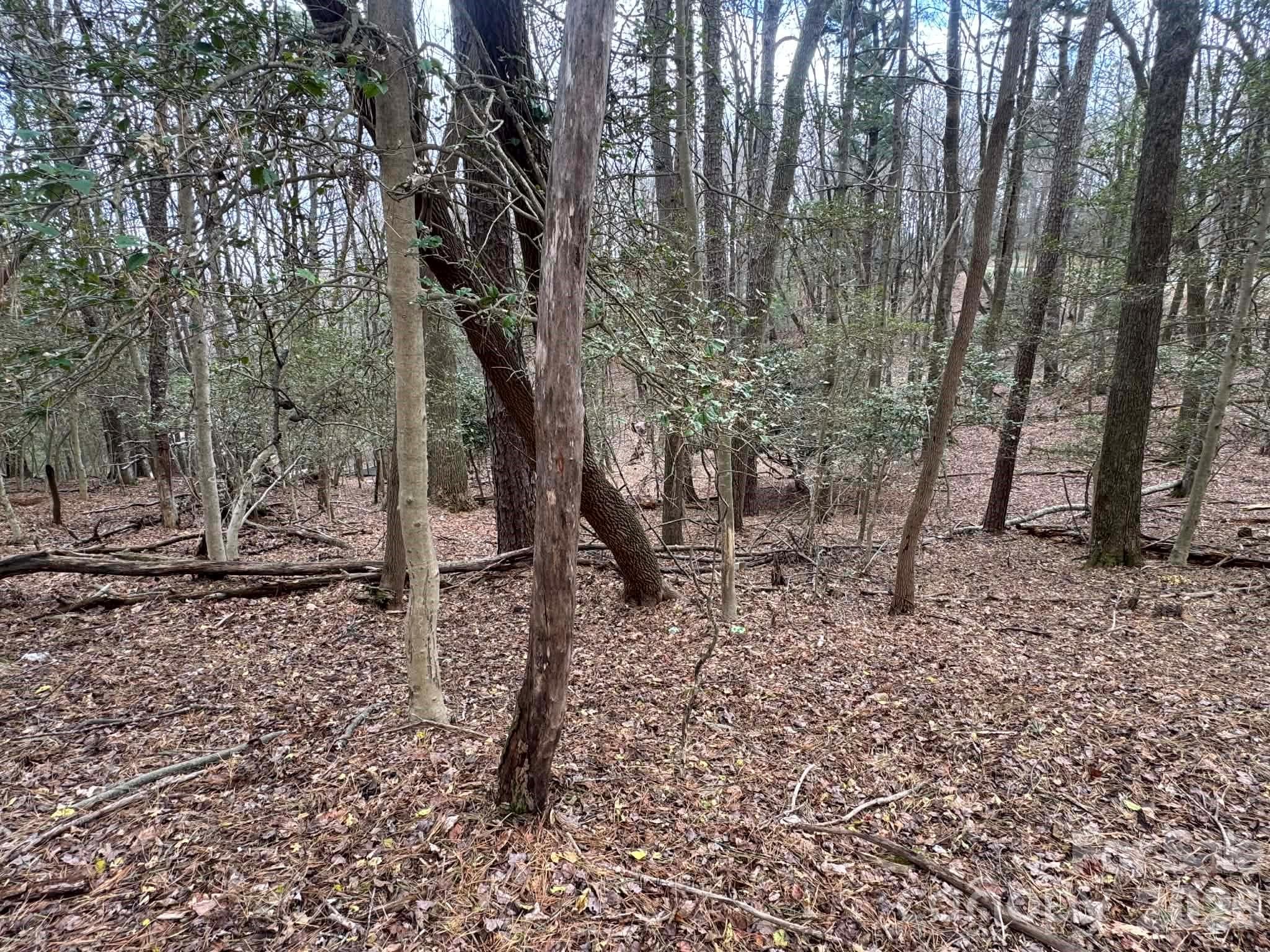 Lot at TBD Ward Circle Drive, Sparta, photo 19 of 21