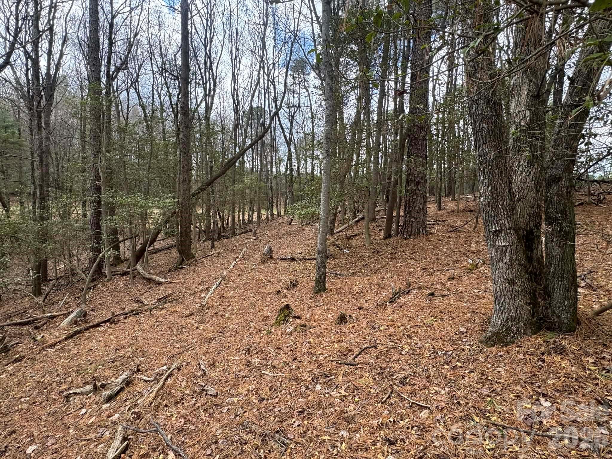 Lot at TBD Ward Circle Drive, Sparta, photo 20 of 21