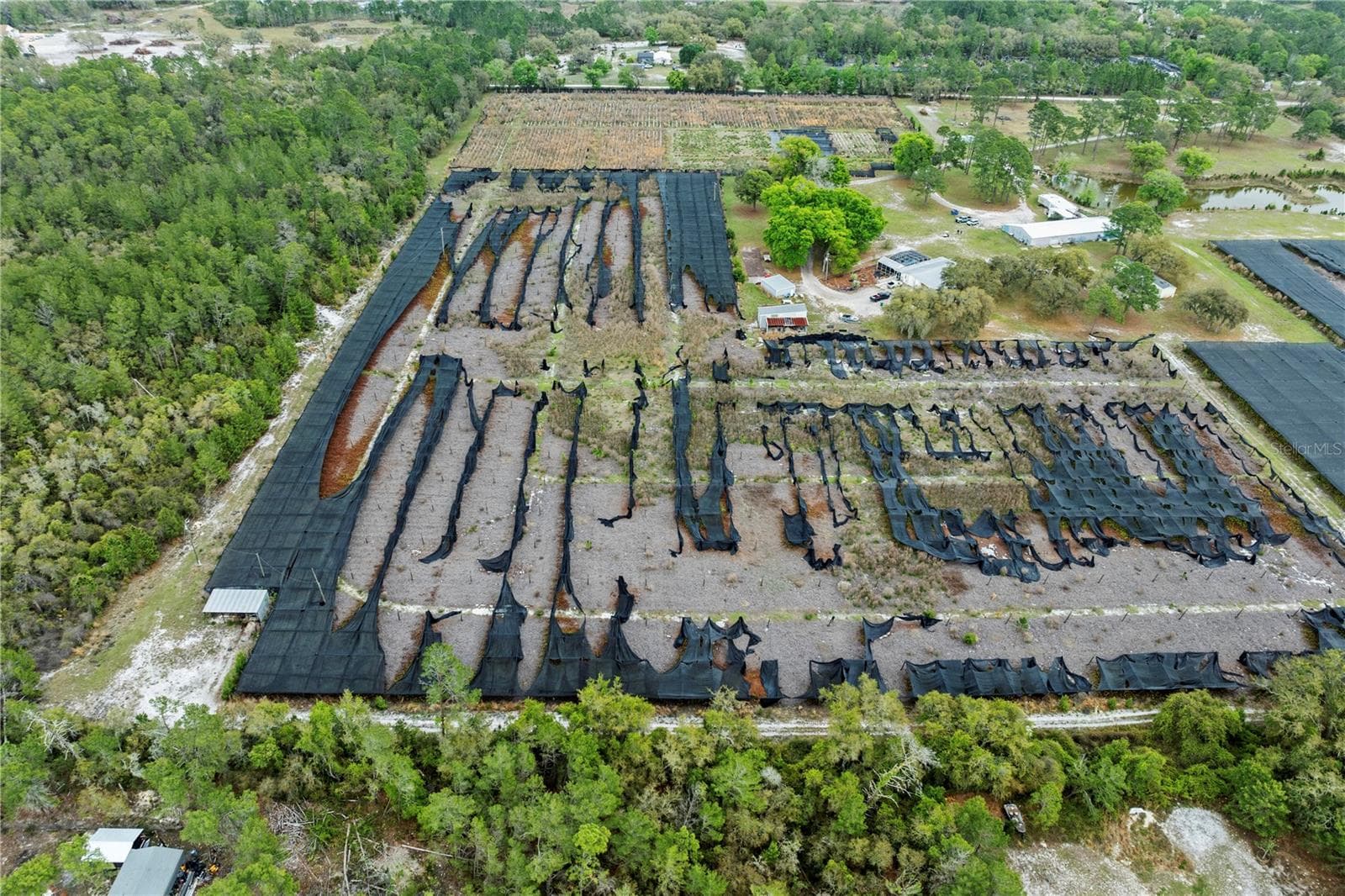 Land at 40945 BEACH, EUSTIS, photo 7 of 49