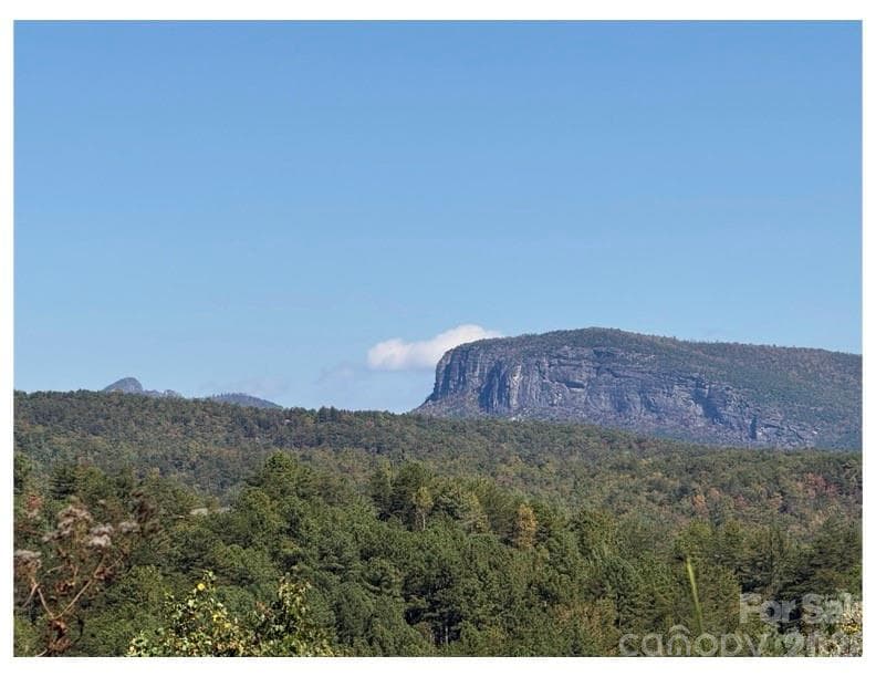 Lot at Nebo, photo 3 of 5