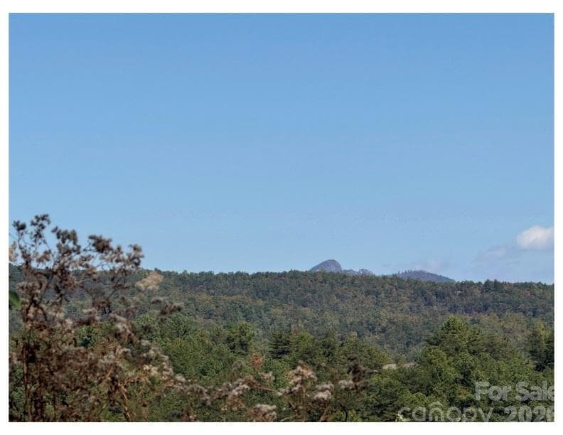 Lot at Nebo, photo 4 of 5