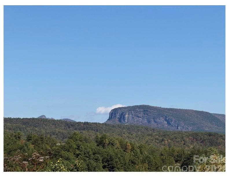 Lot at Nebo, photo 5 of 5