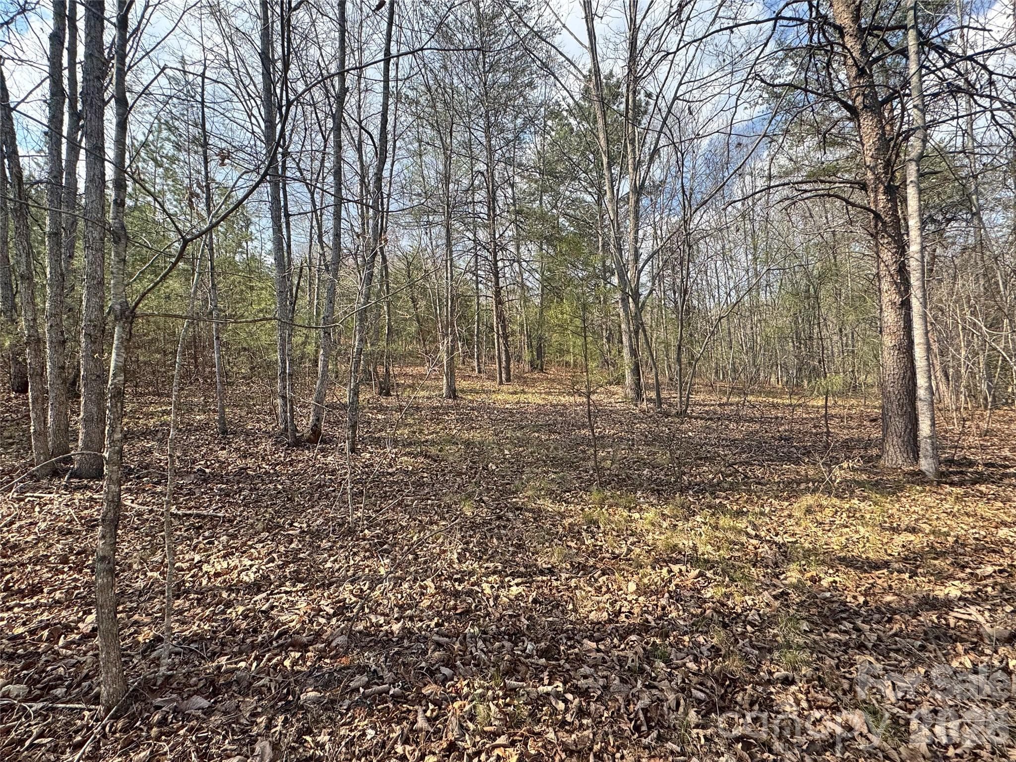 Lot at Rutherfordton, photo 5 of 18