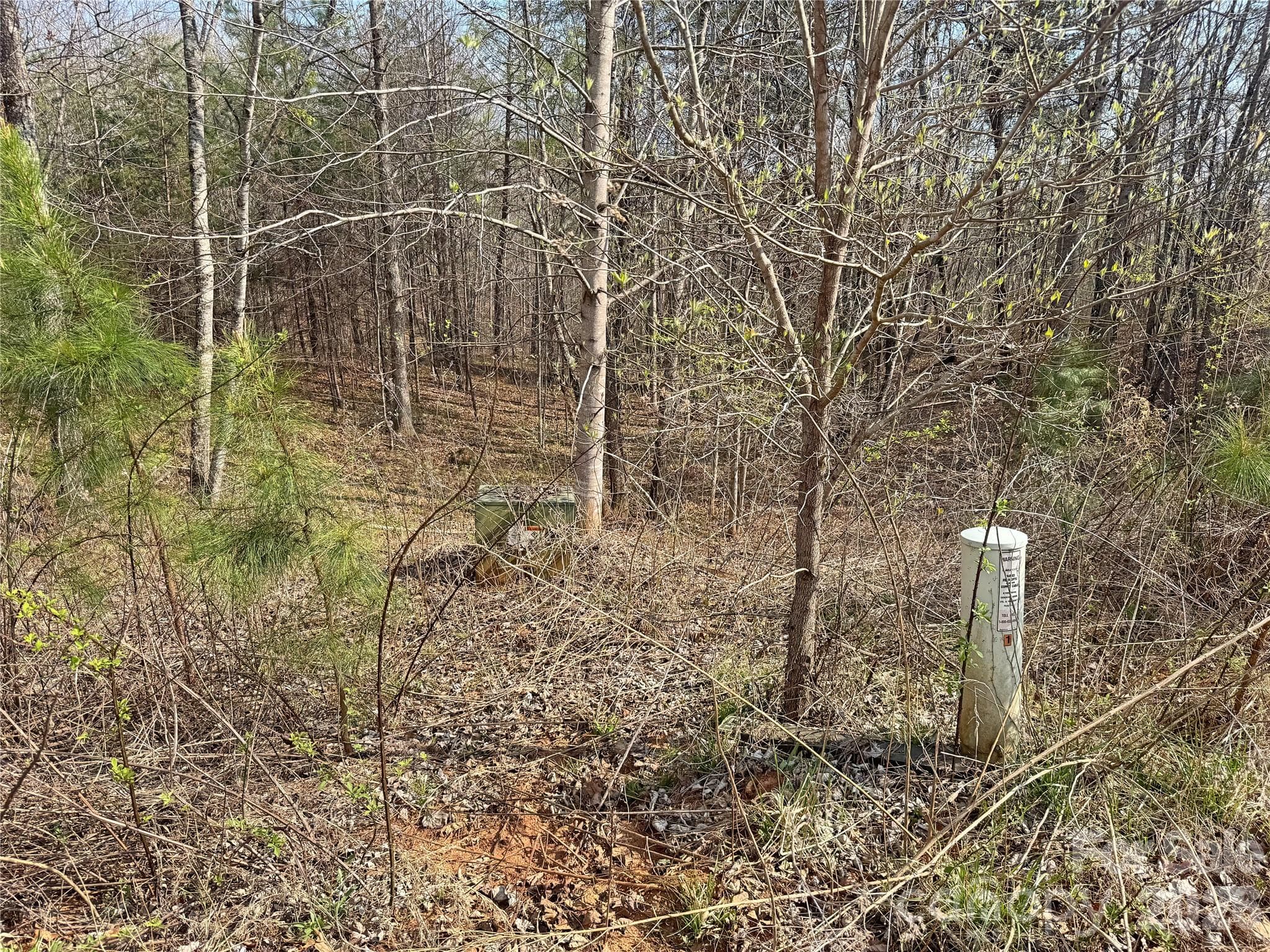 Lot at Rutherfordton, photo 3 of 18