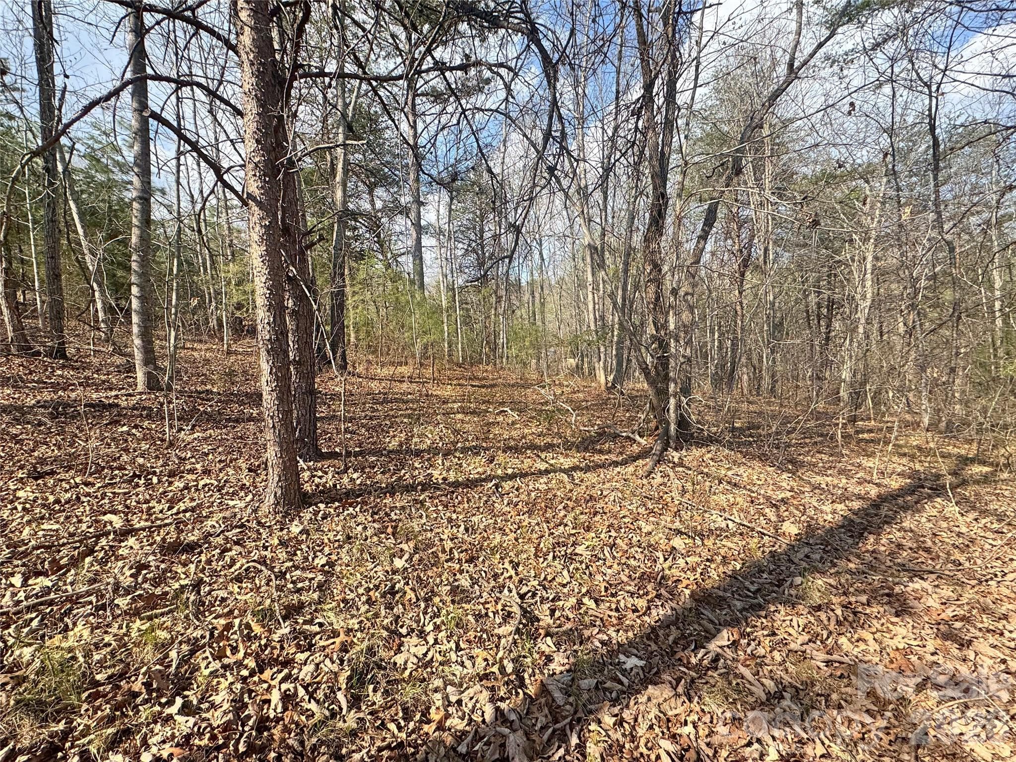 Lot at Rutherfordton, photo 6 of 18