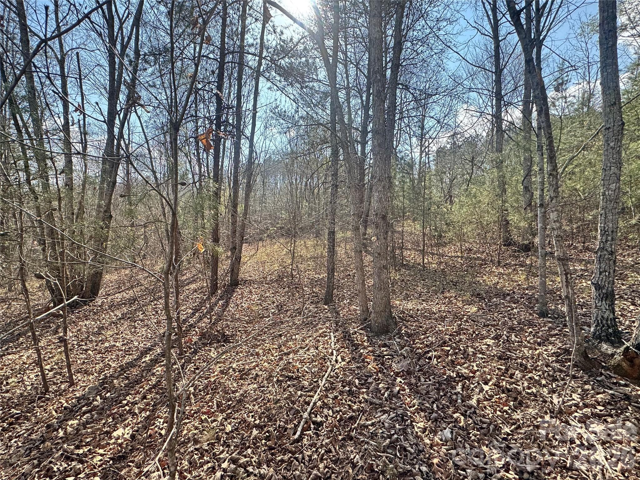 Lot at Rutherfordton, photo 4 of 18