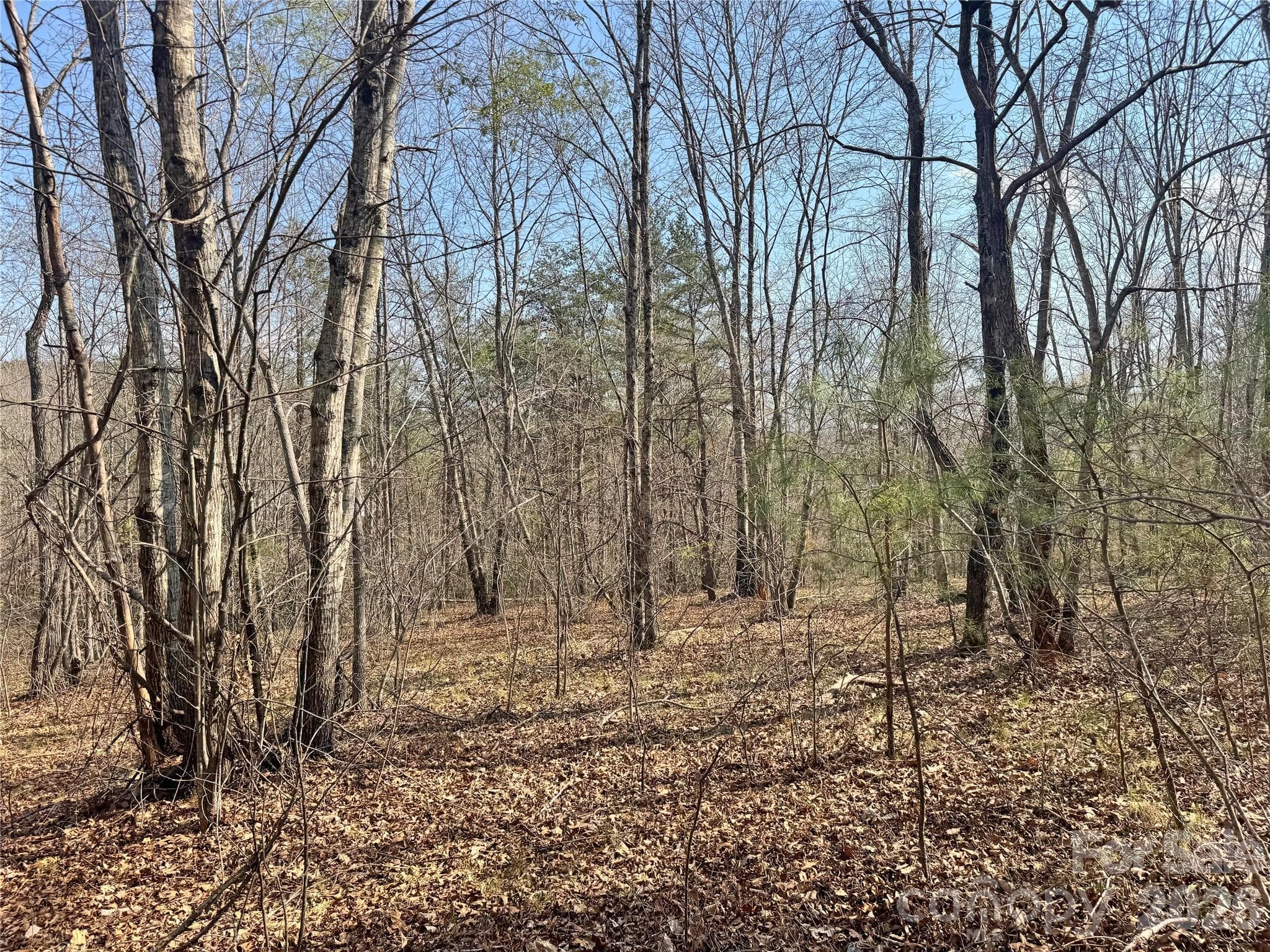 Lot at Rutherfordton, photo 8 of 18