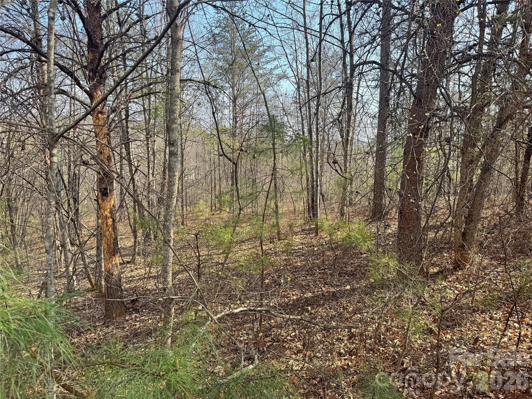 Lot at Rutherfordton, photo 9 of 18
