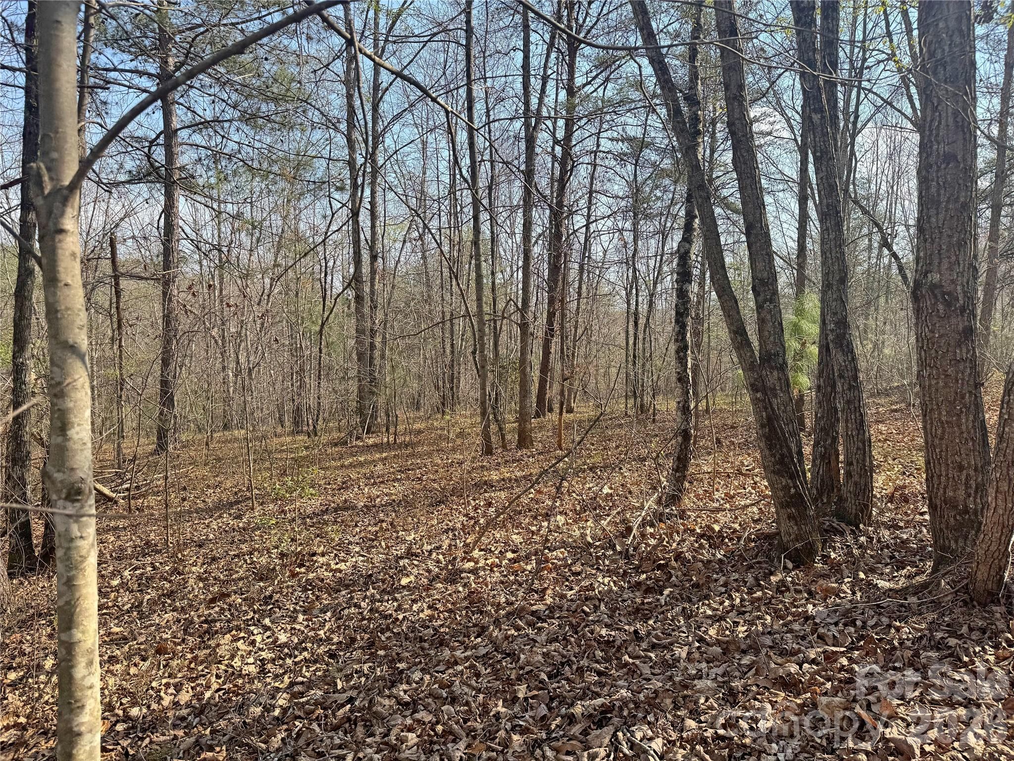 Lot at Rutherfordton, photo 10 of 18