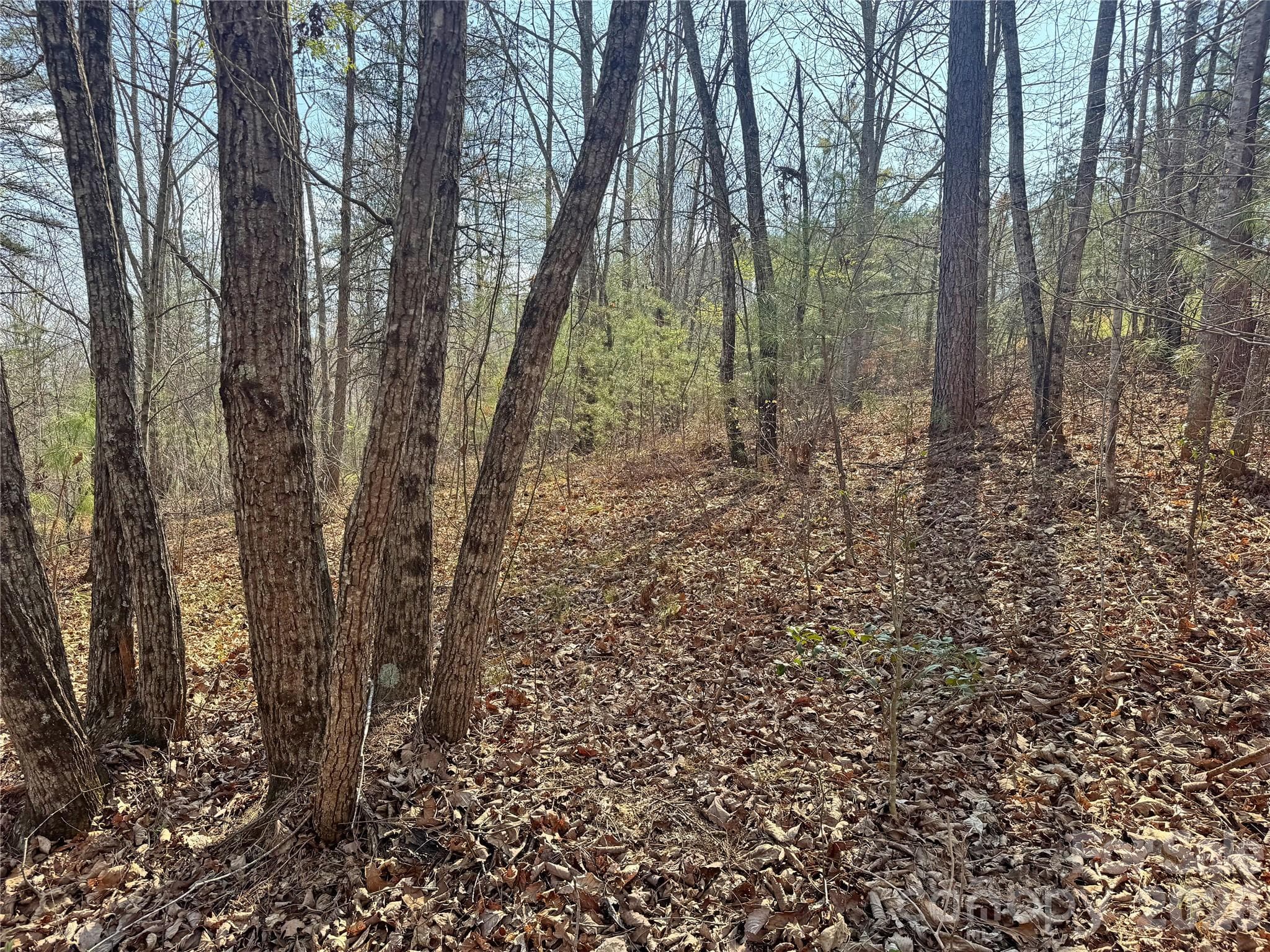 Lot at Rutherfordton, photo 13 of 18