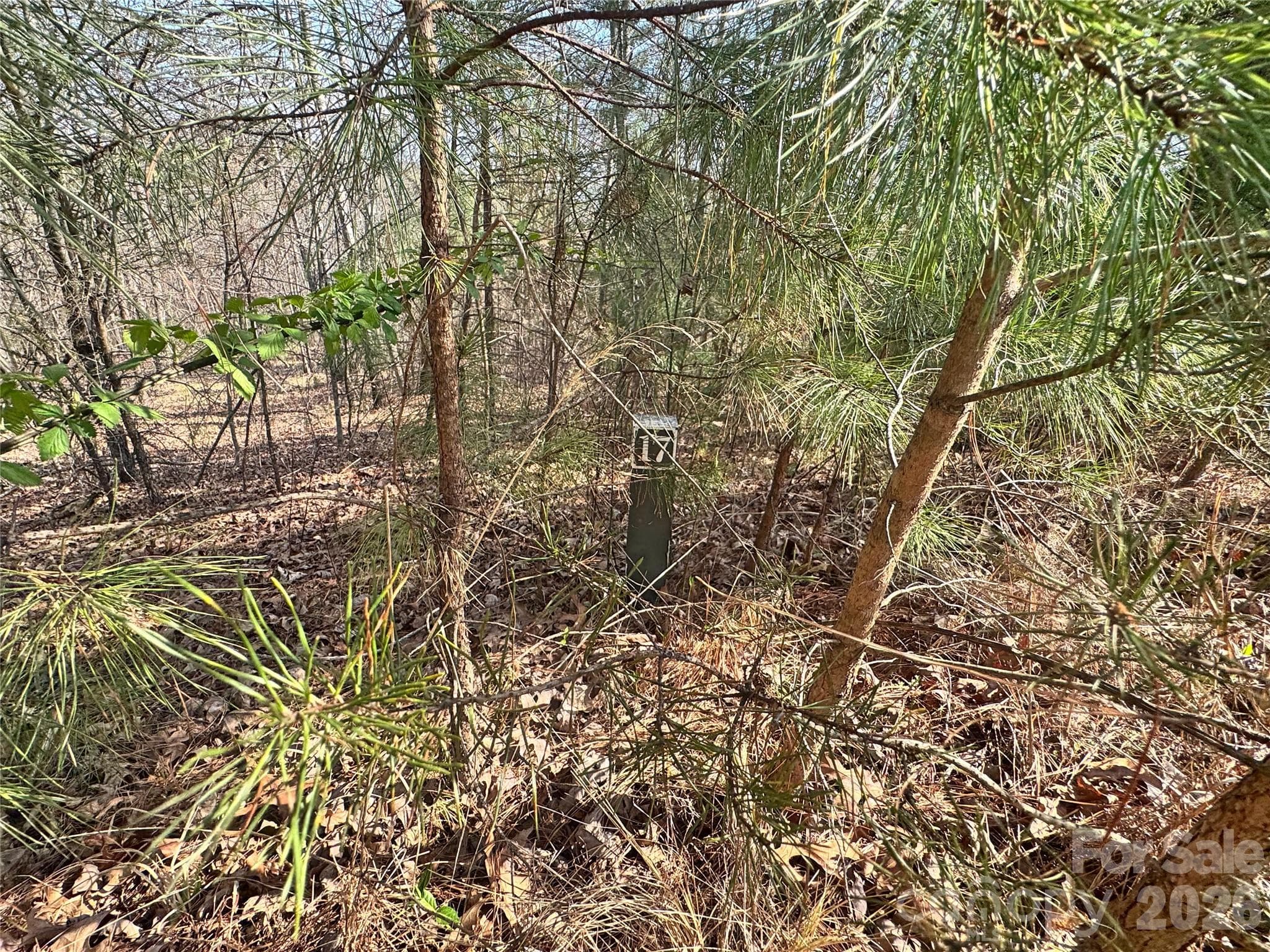 Lot at Rutherfordton, photo 14 of 18