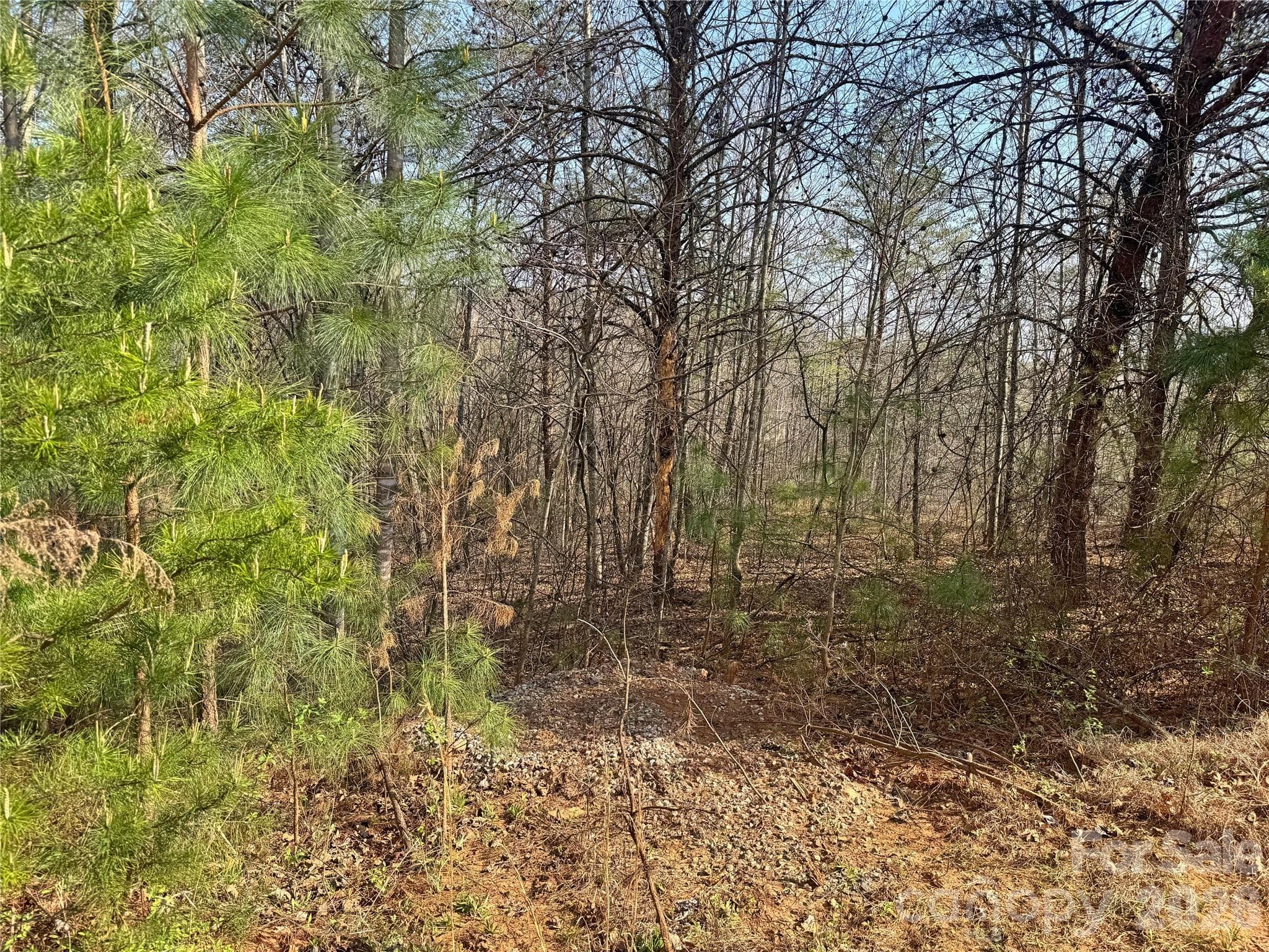 Lot at Rutherfordton, photo 15 of 18