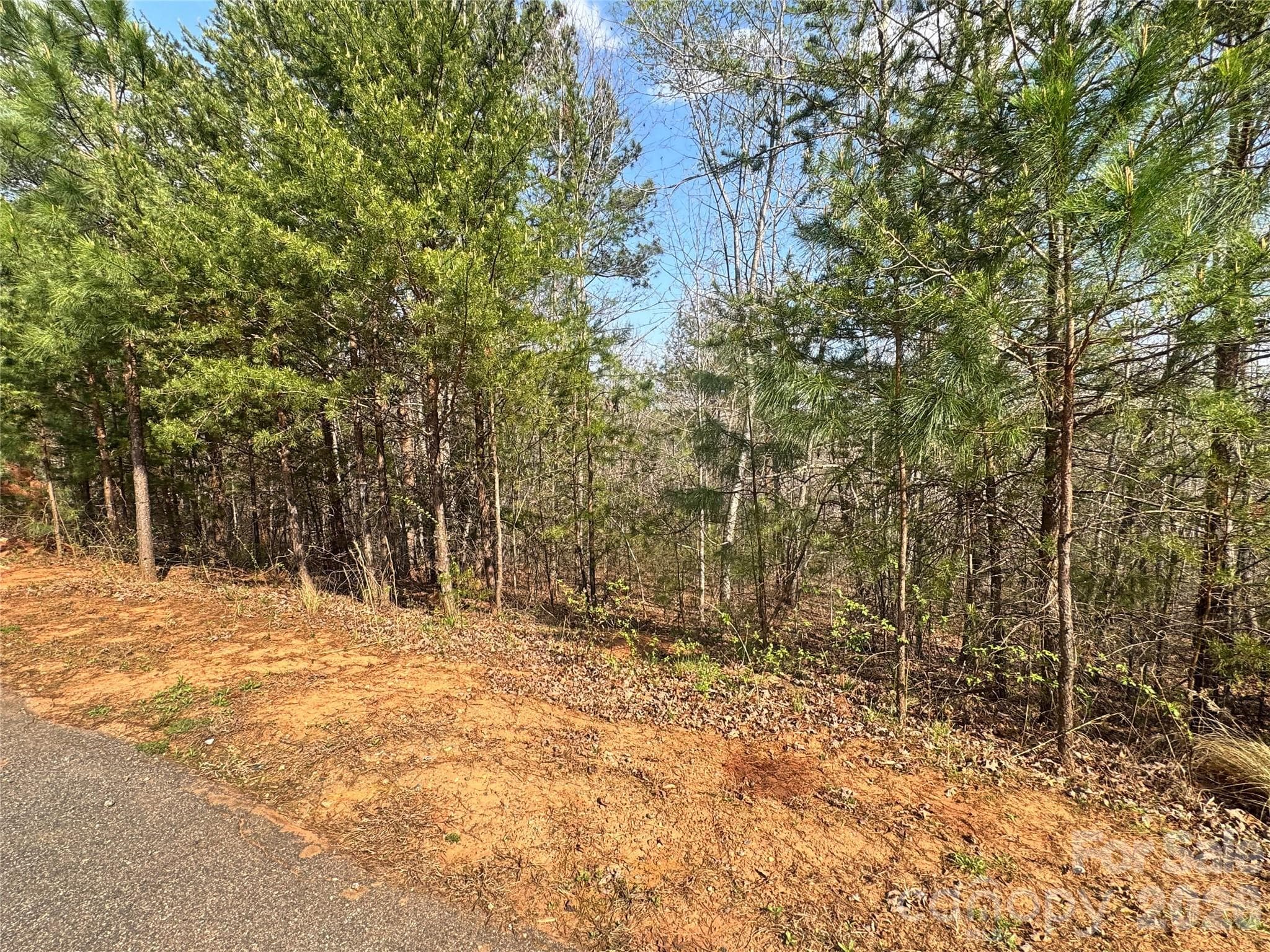 Lot at Rutherfordton, photo 18 of 18