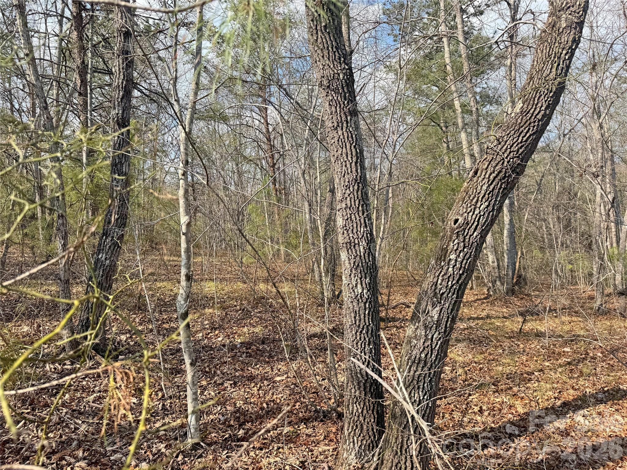 Lot at Rutherfordton, photo 16 of 18
