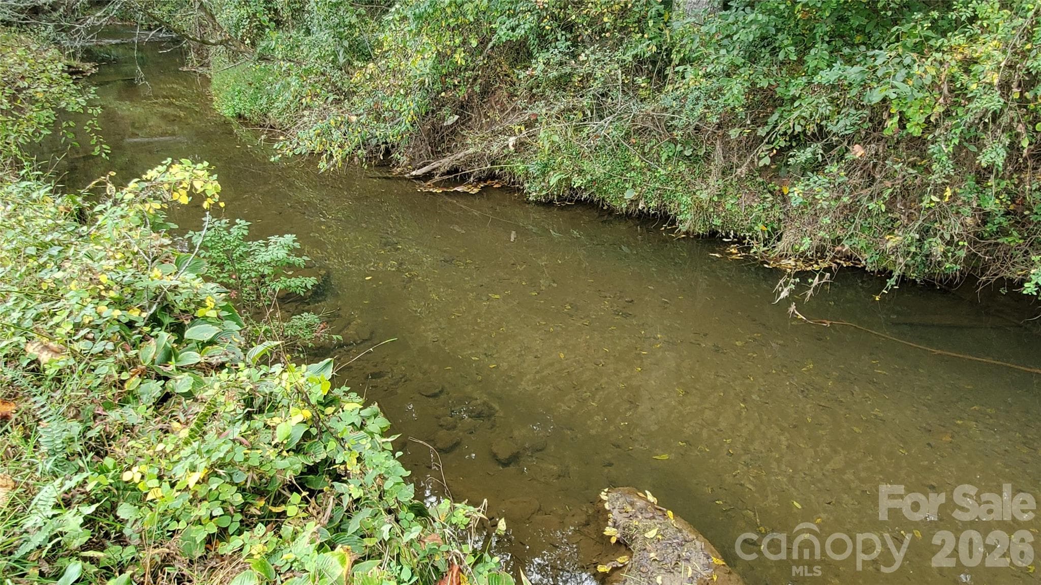Nicholson Creek just below Lots 1 & 2 and across Nicholson Creek Road. - Brevard