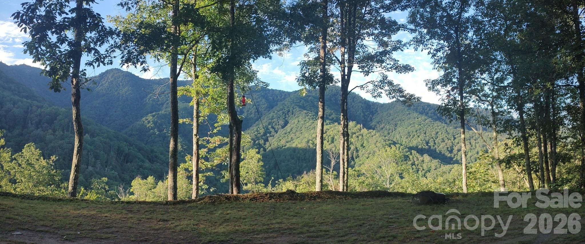 Acreage at Sylva, photo 5 of 23