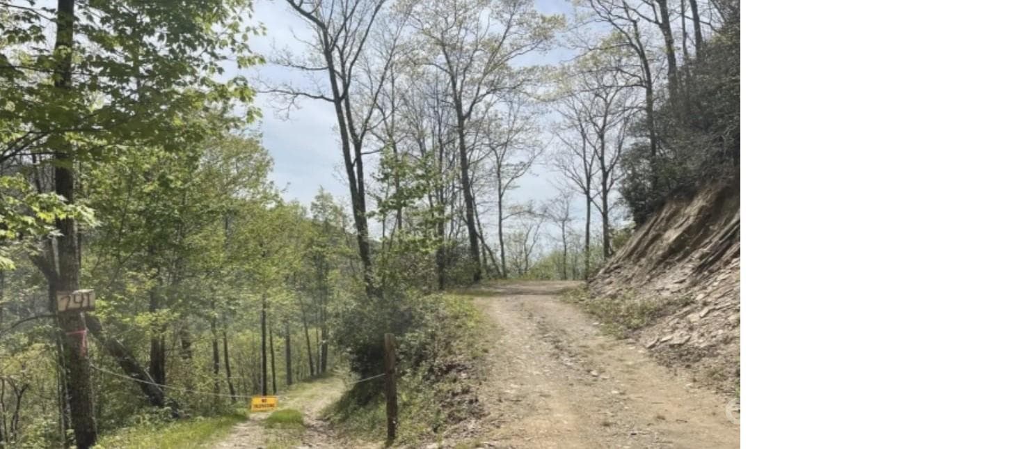 Acreage at Sylva, photo 7 of 23