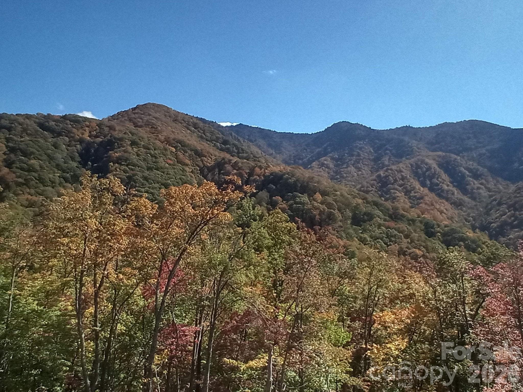 Acreage at Sylva, photo 8 of 23