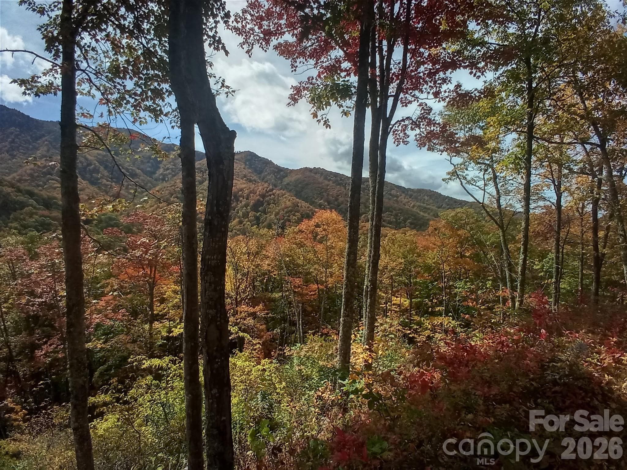 Acreage at Sylva, photo 9 of 23