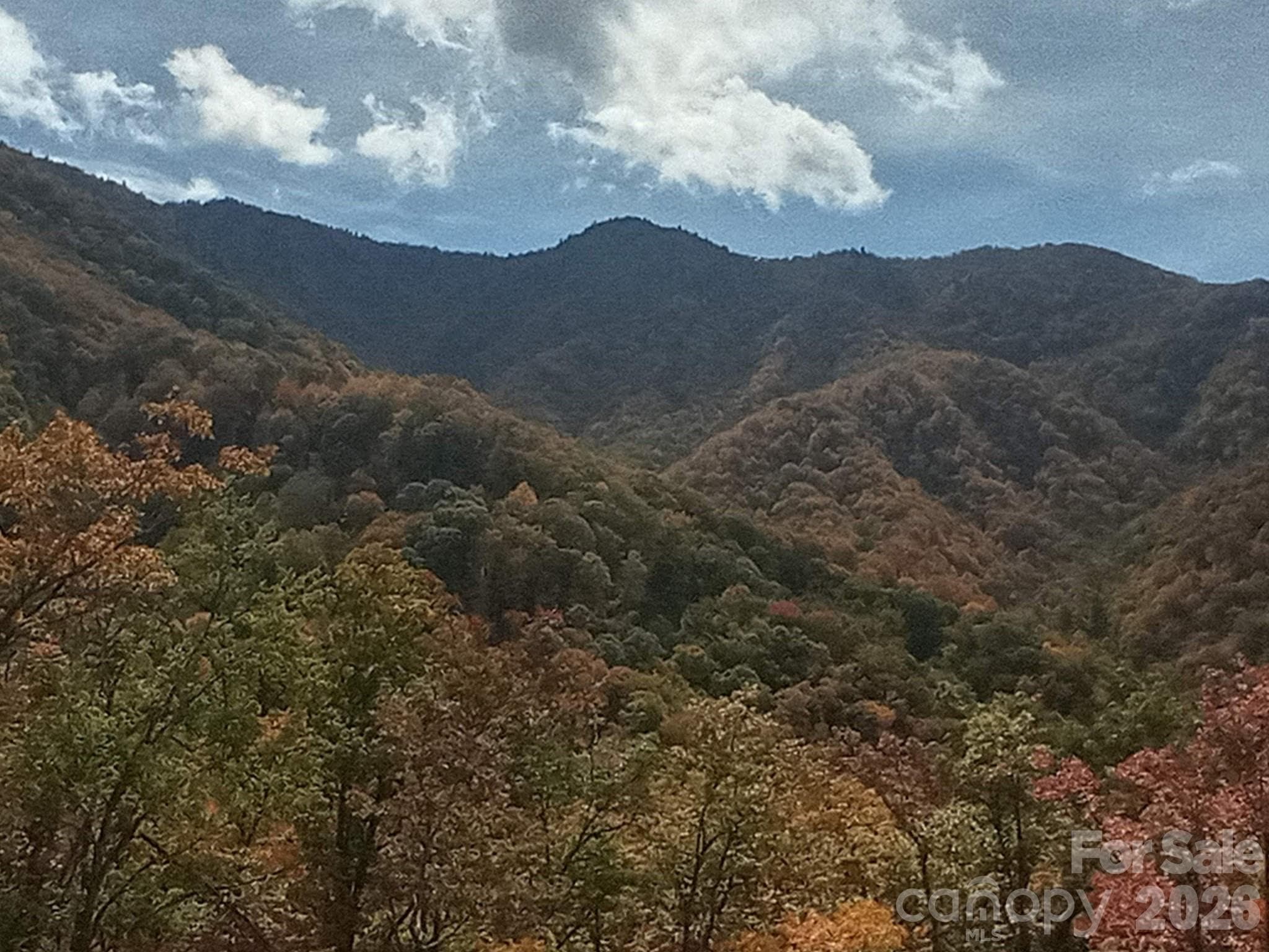 Acreage at Sylva, photo 11 of 23