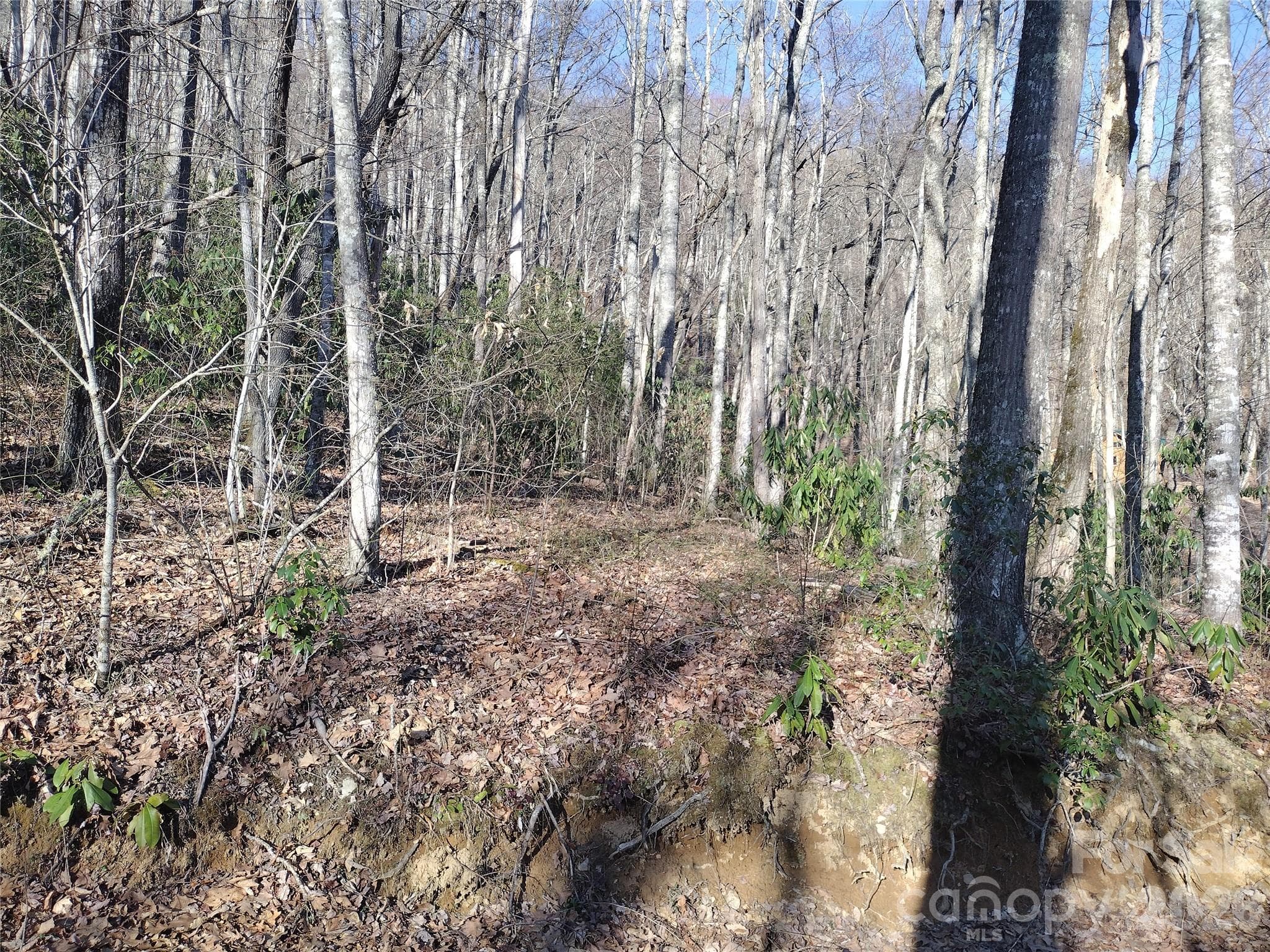 Acreage at Sylva, photo 12 of 23