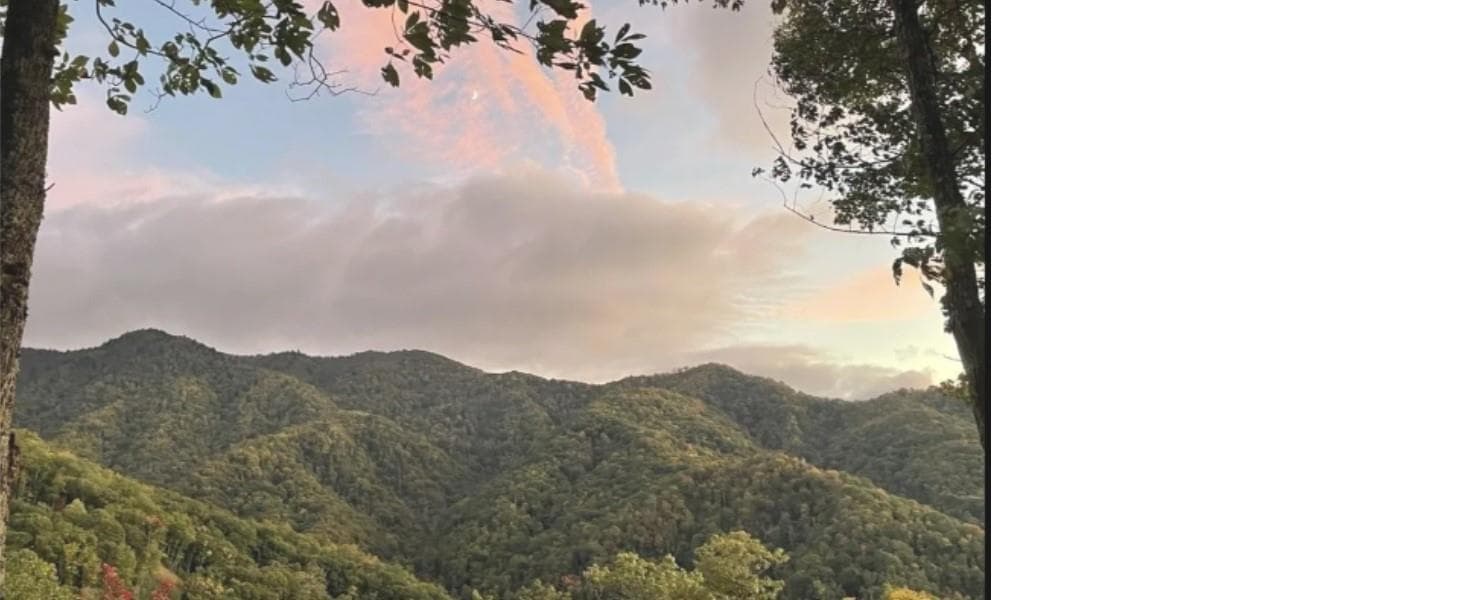 Acreage at Sylva, photo 14 of 23