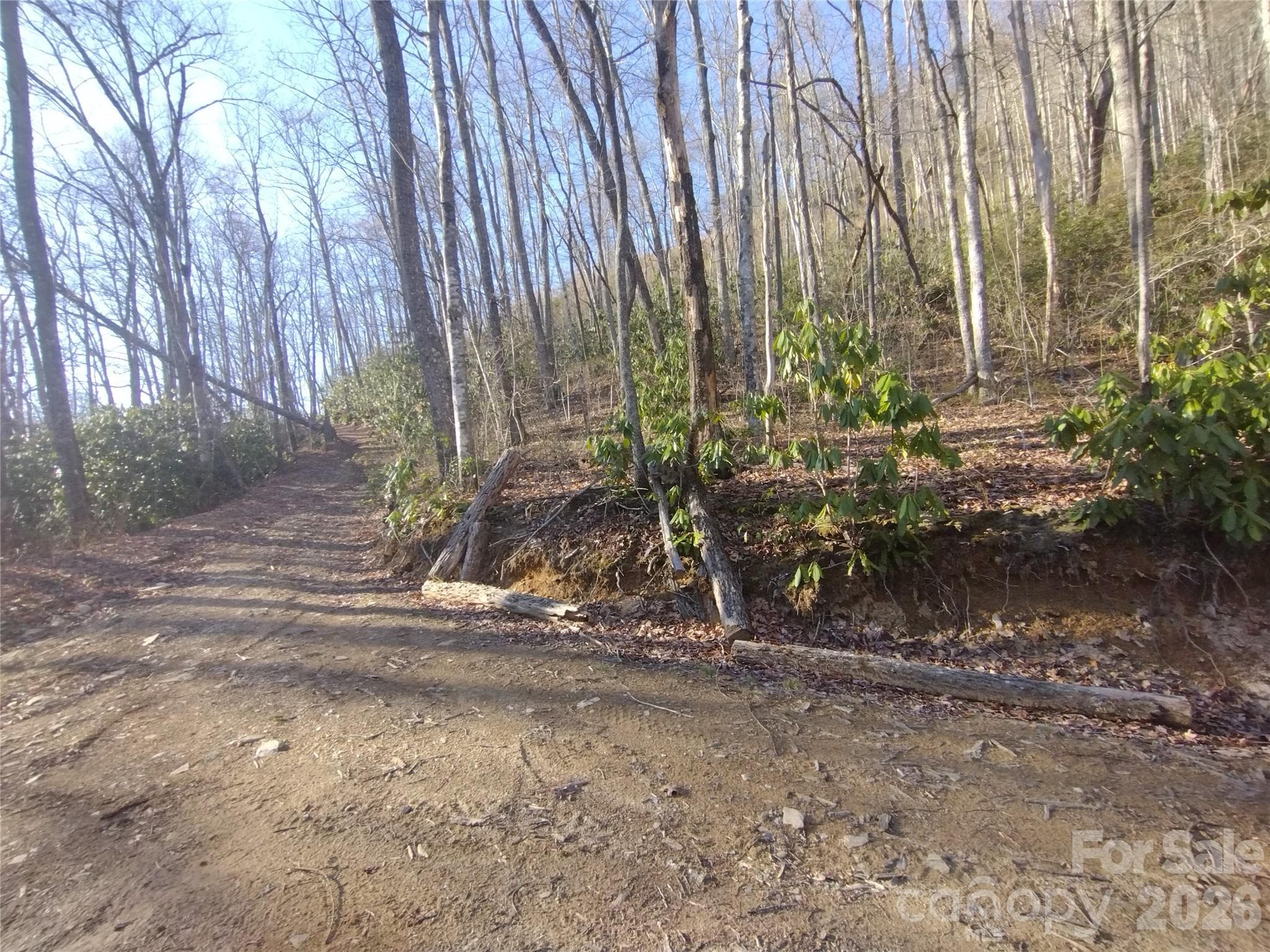 Acreage at Sylva, photo 15 of 23