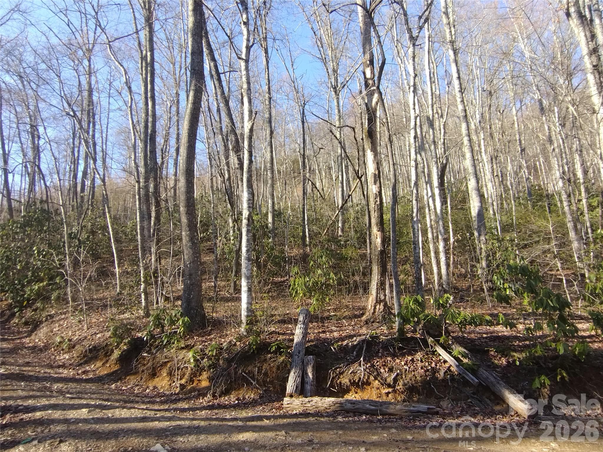 Acreage at Sylva, photo 16 of 23