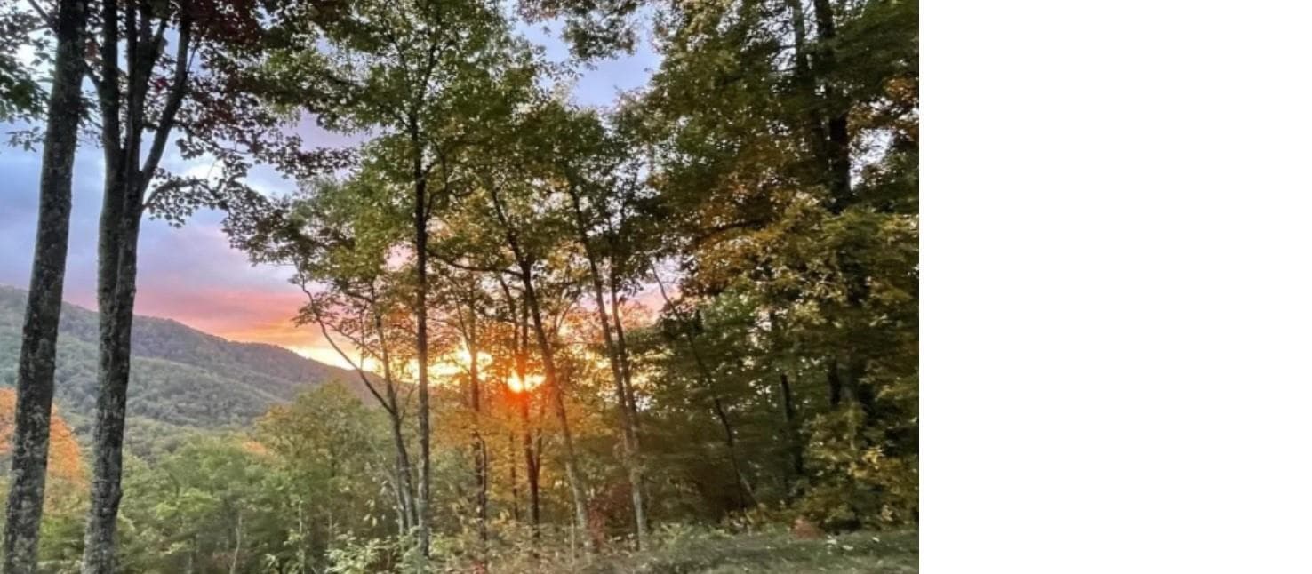 Acreage at 241 Bloom Trail, Sylva, photo 17 of 23