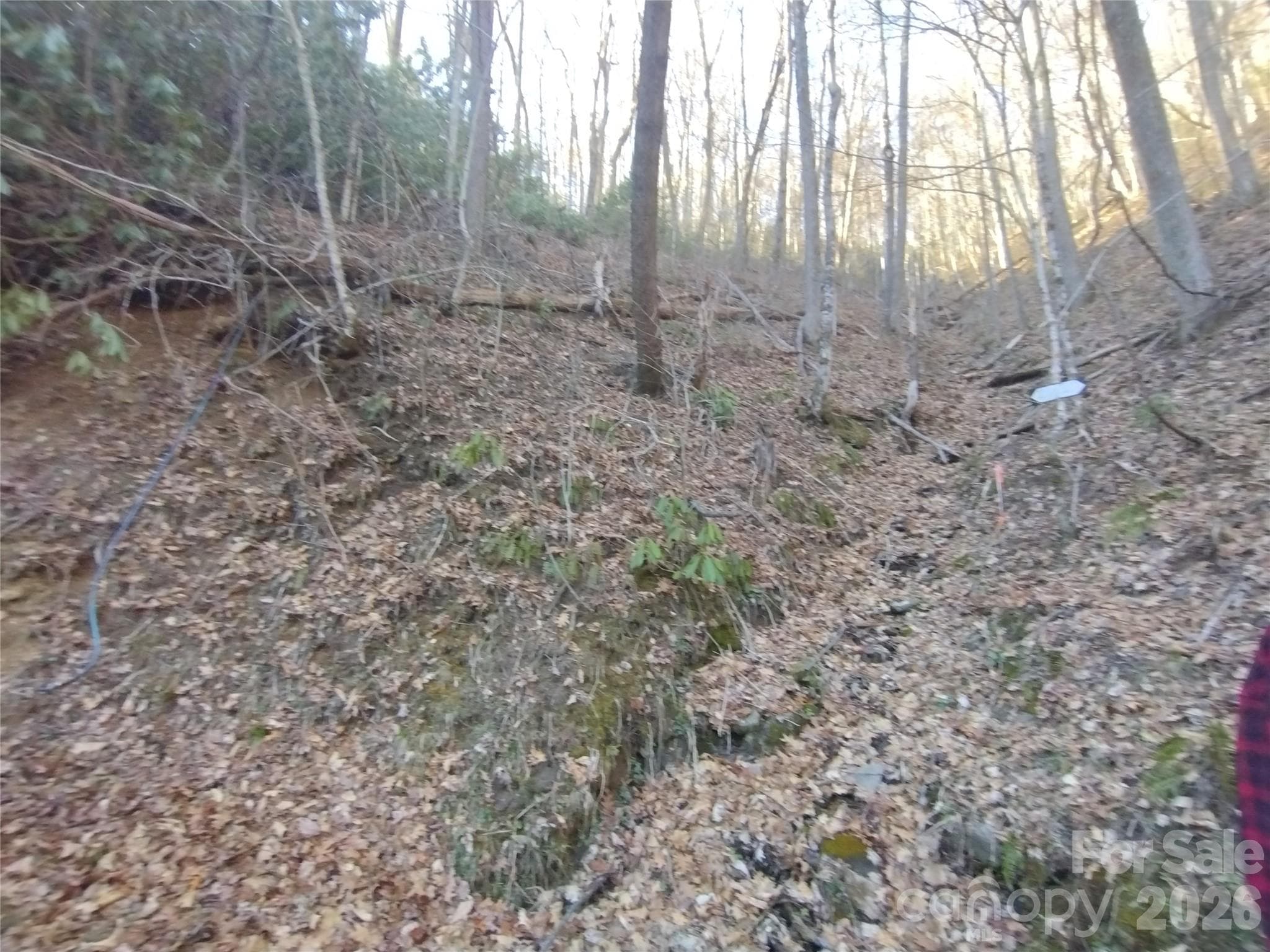 Acreage at Sylva, photo 19 of 23