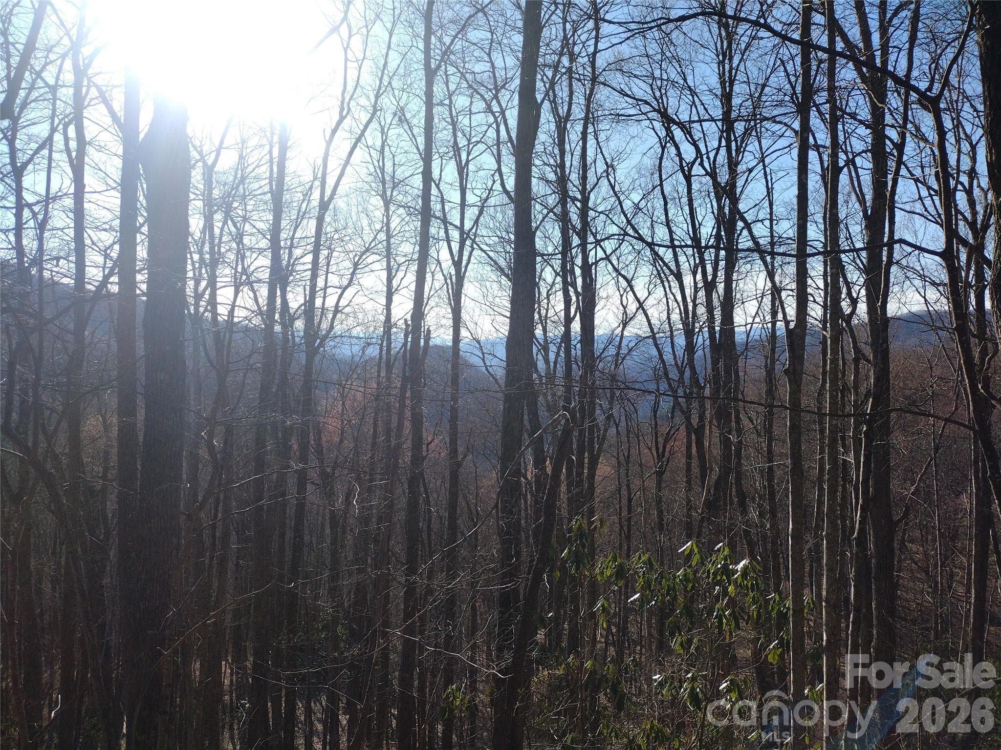 Acreage at Sylva, photo 22 of 23