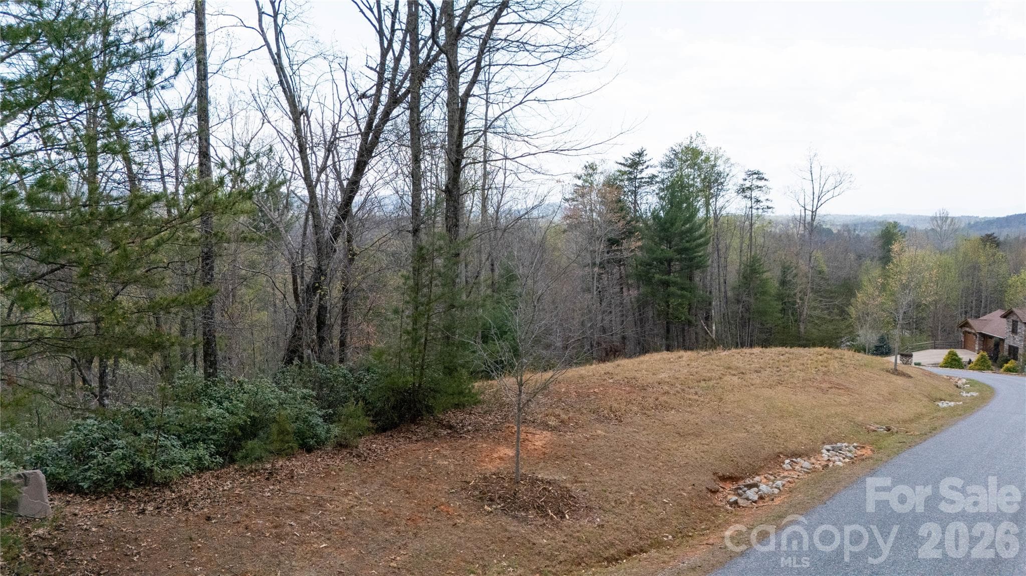 Lot at Nebo, photo 2 of 14