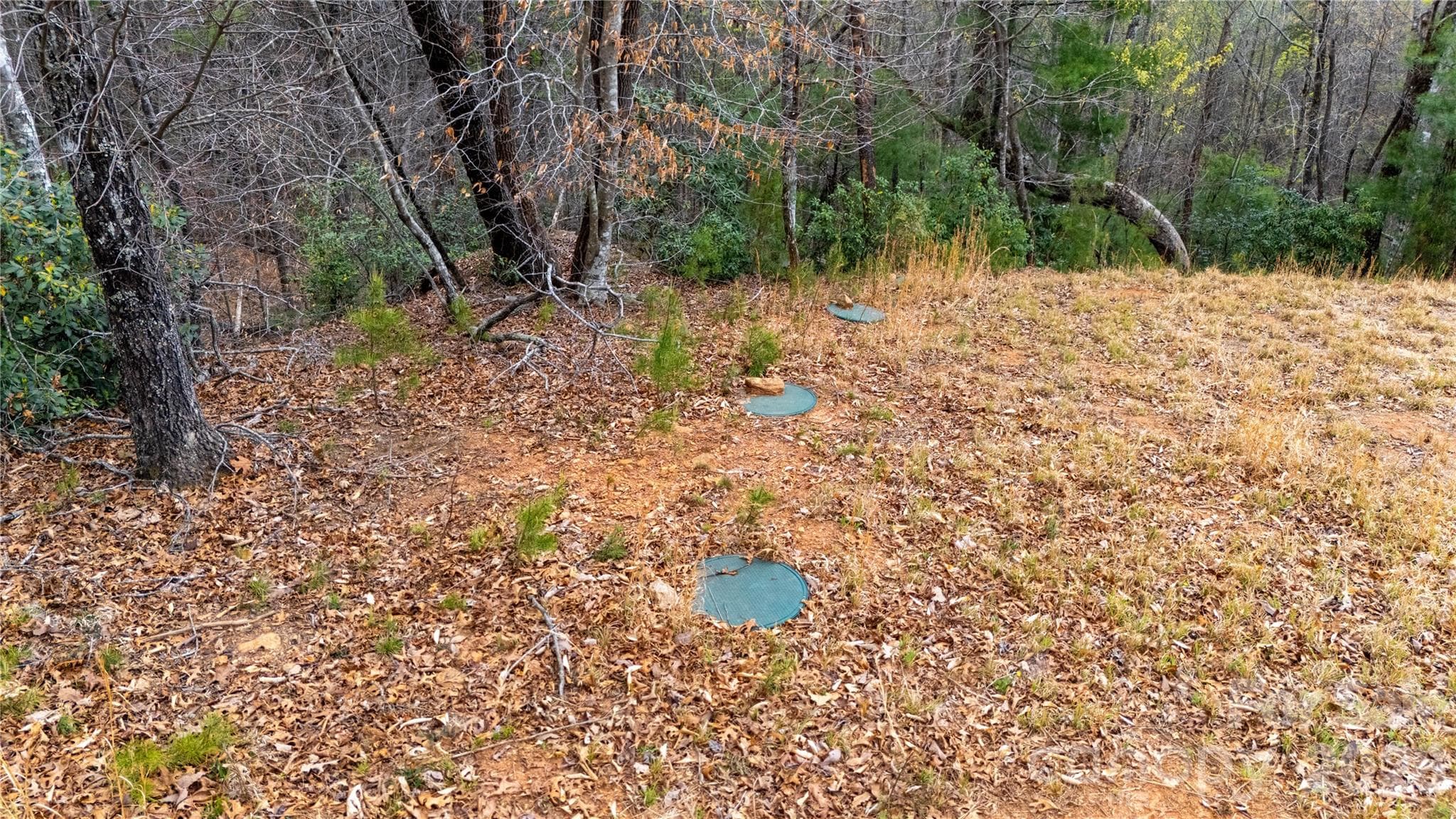 Lot at Nebo, photo 4 of 14
