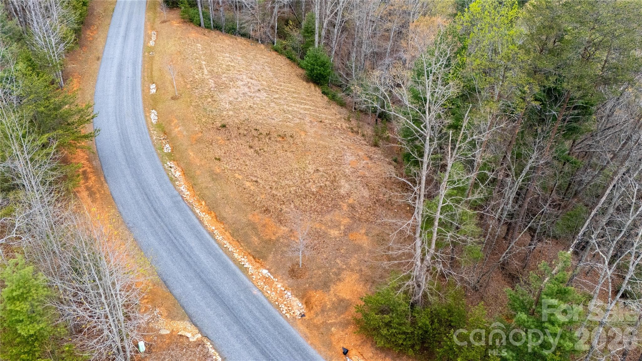 Lot at Nebo, photo 5 of 14