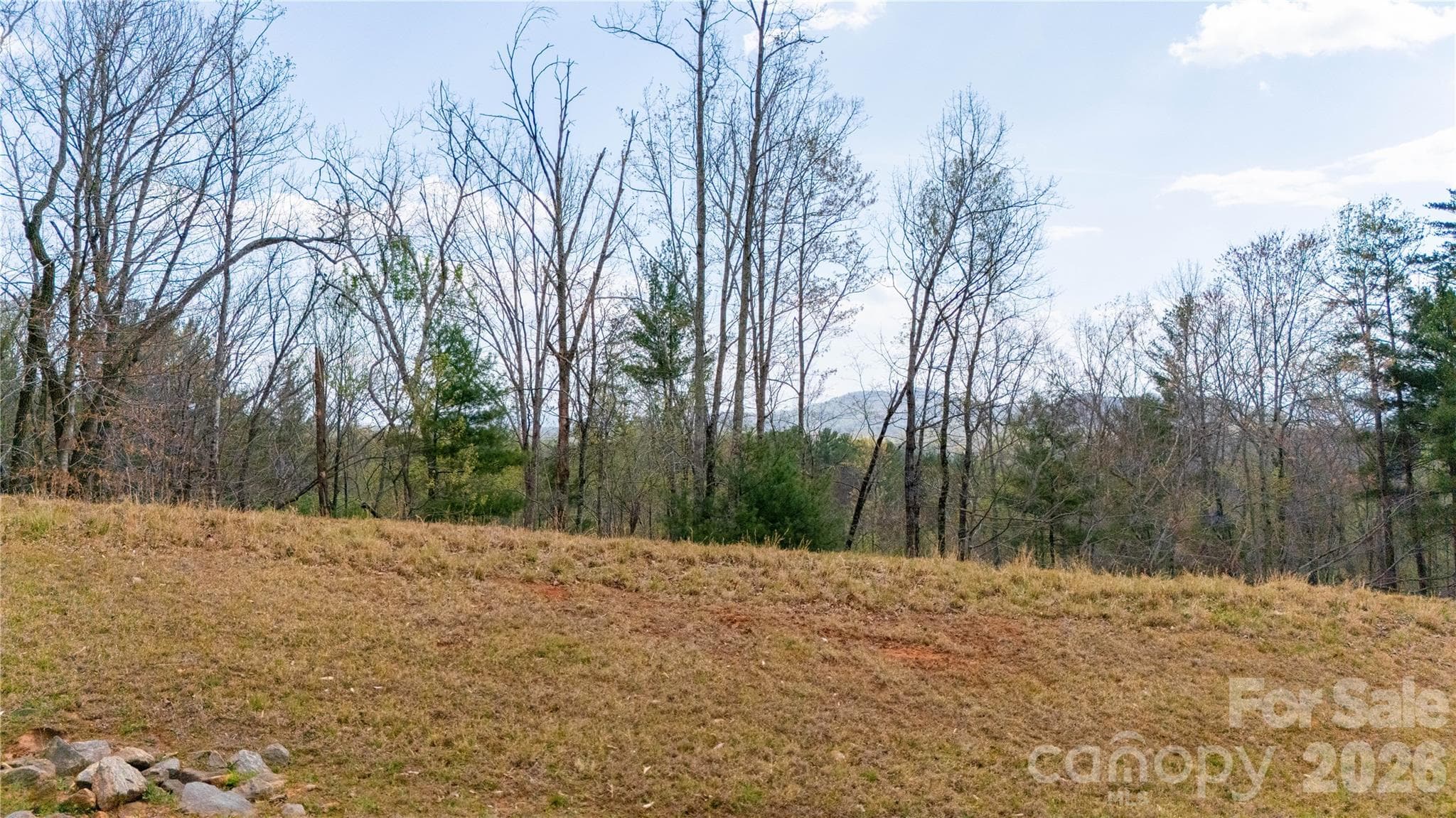Lot at Nebo, photo 10 of 14