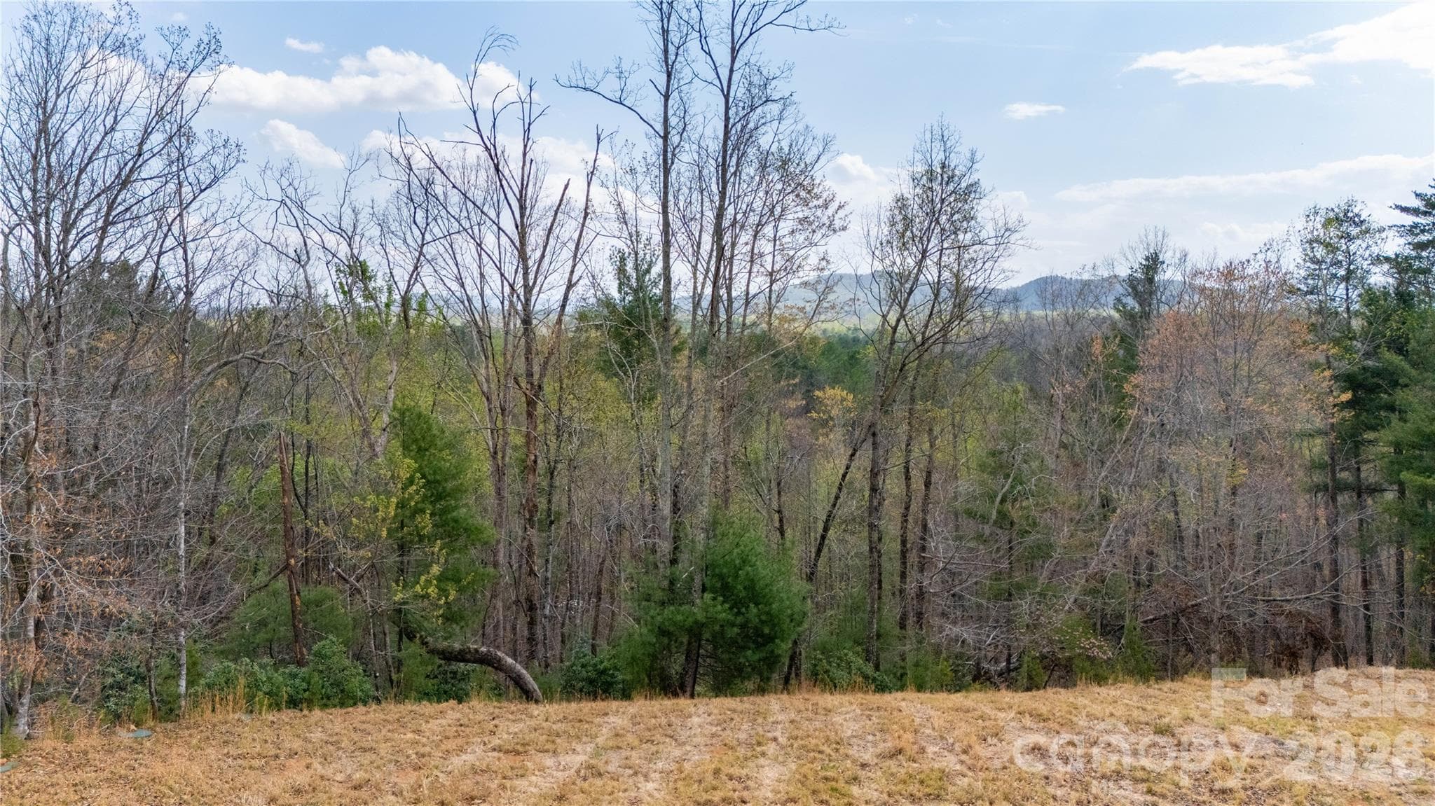 Lot at Nebo, photo 11 of 14