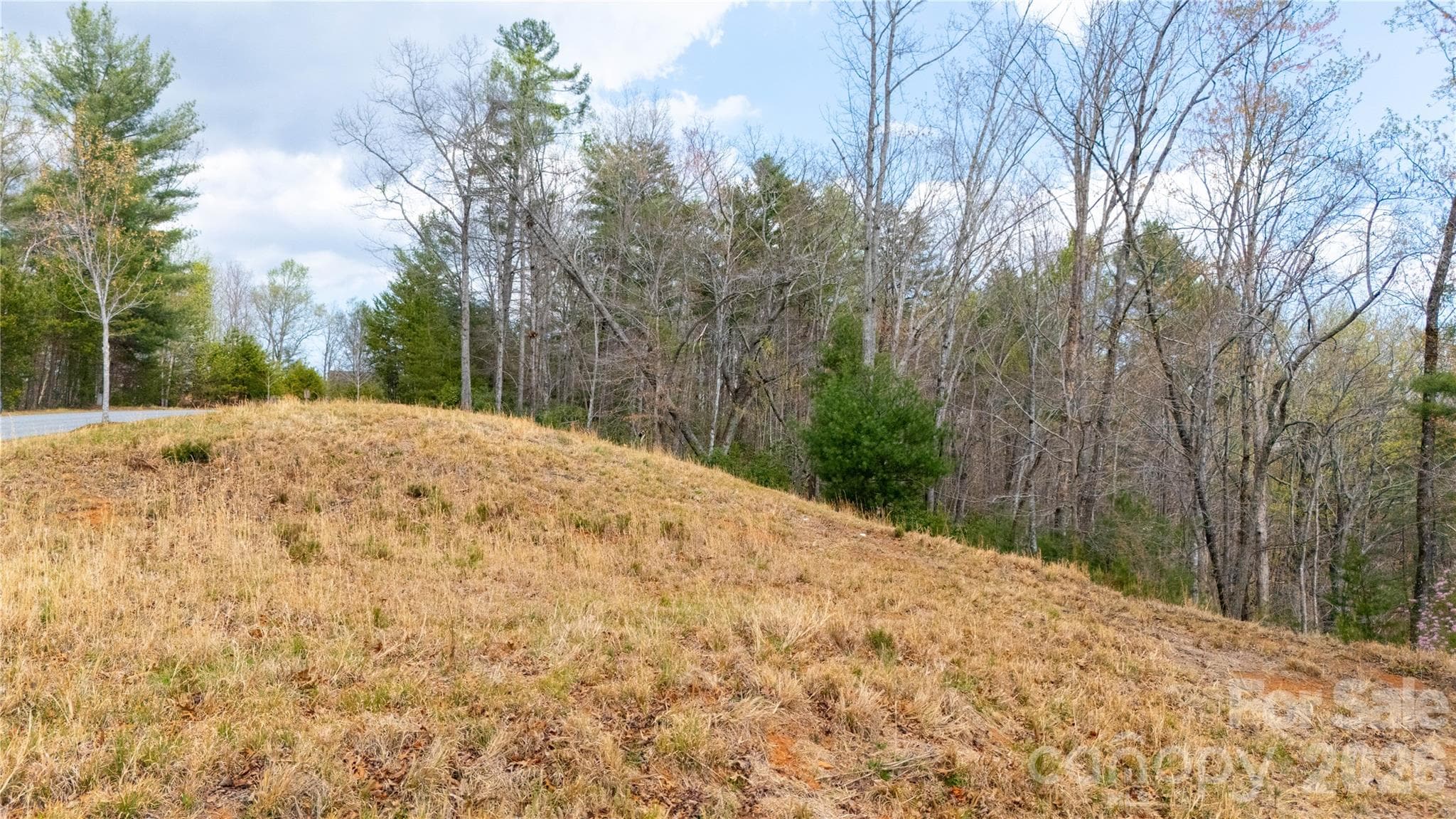 Lot at Nebo, photo 13 of 14
