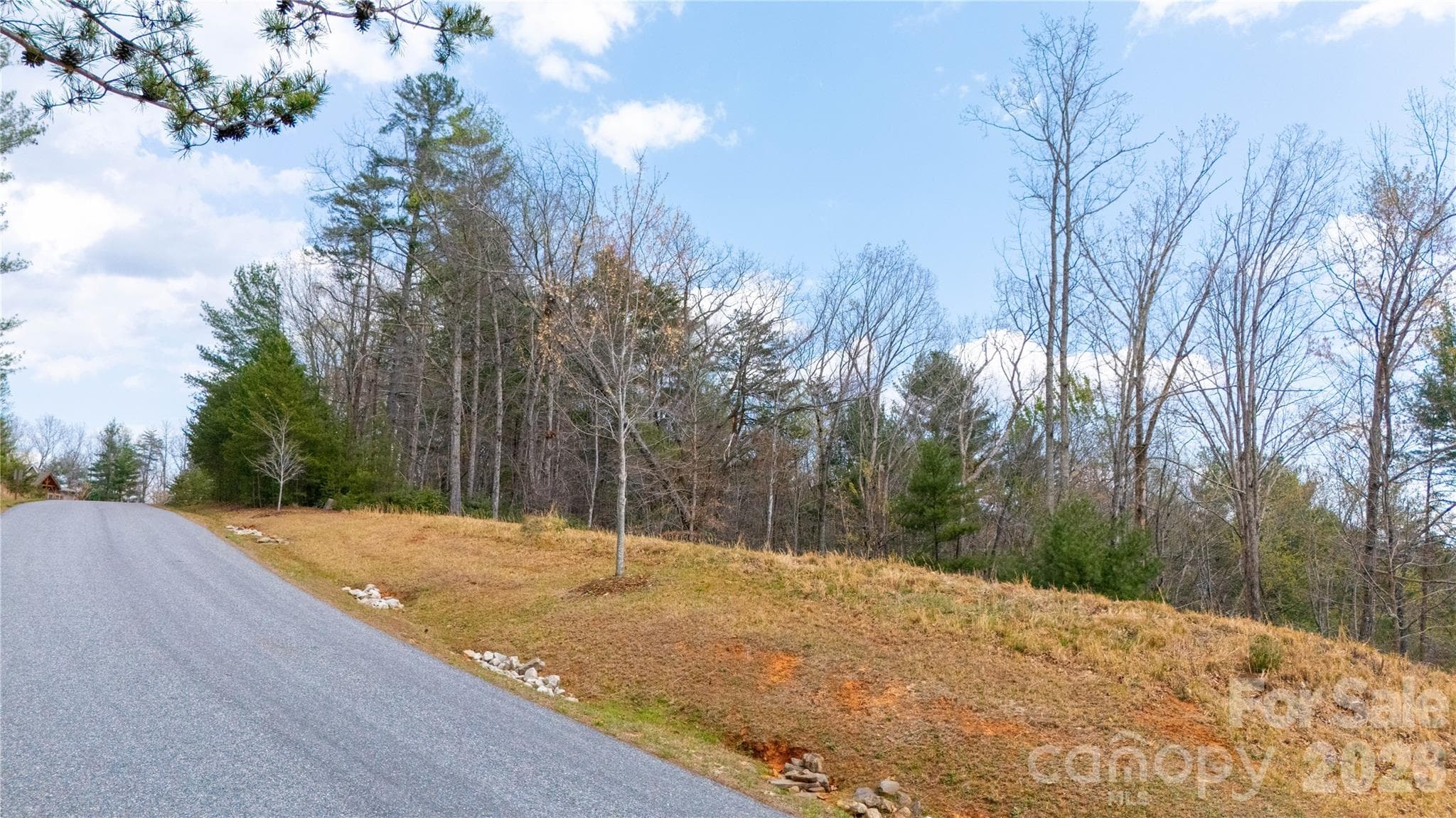 Lot at Nebo, photo 14 of 14