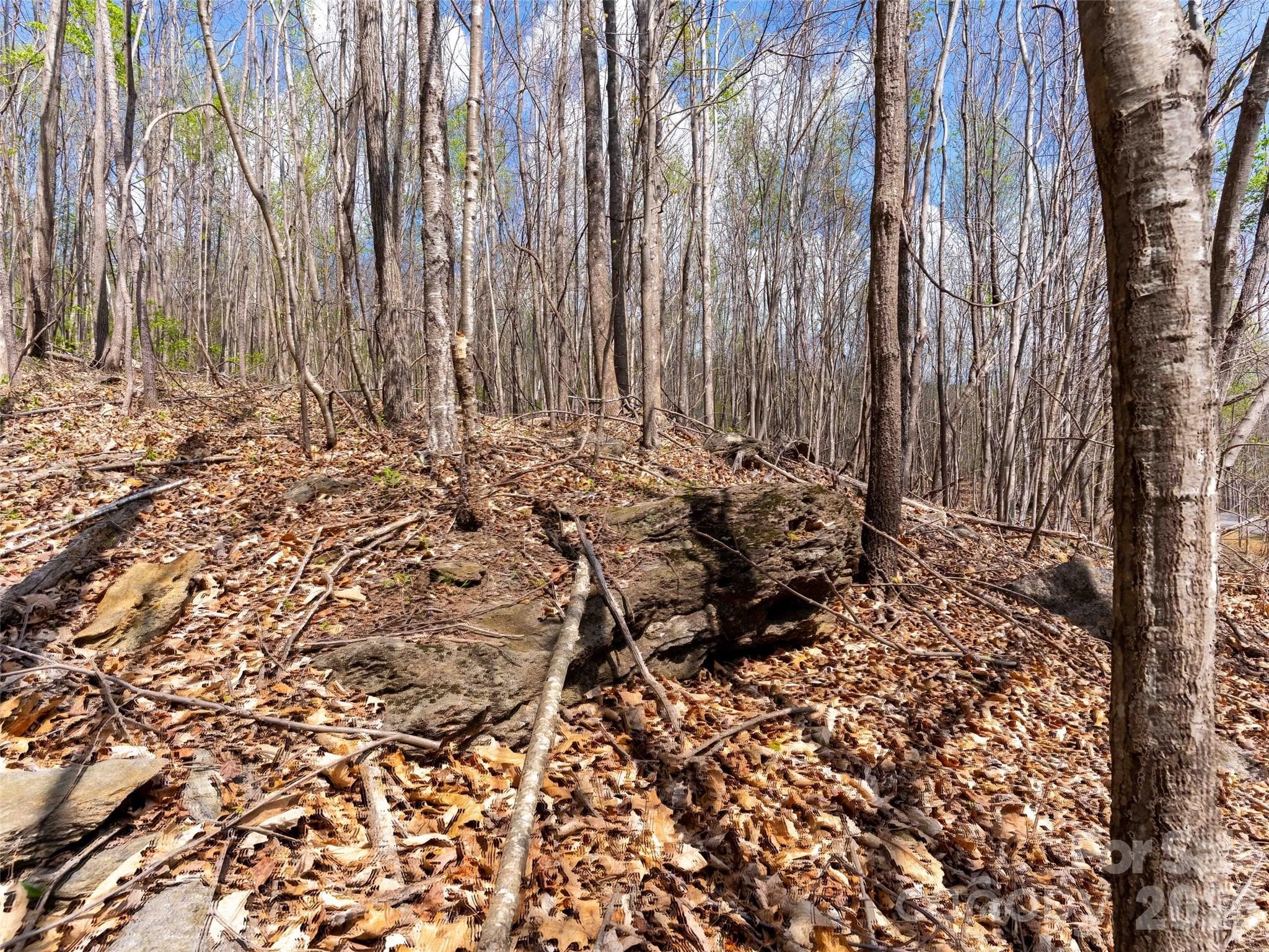 Lot at Mill Spring, photo 2 of 18