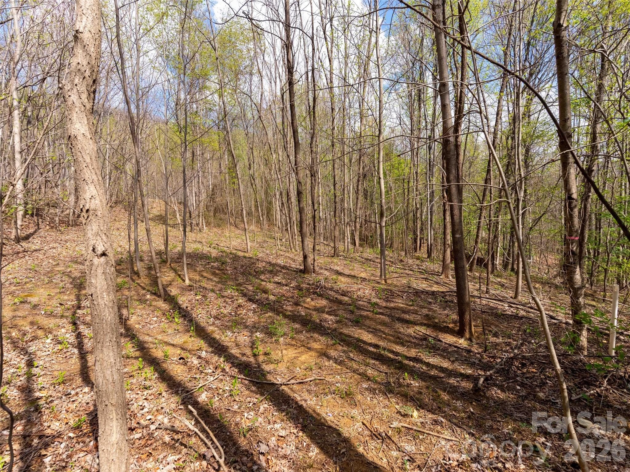 Lot at Mill Spring, photo 4 of 18