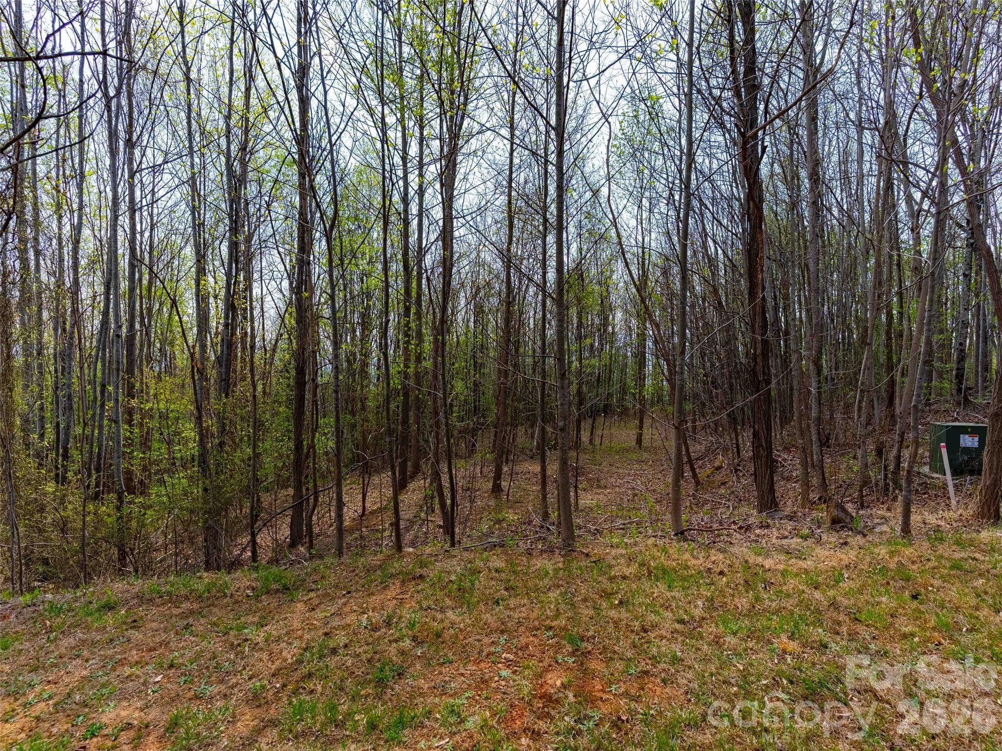 Lot at Mill Spring, photo 5 of 18