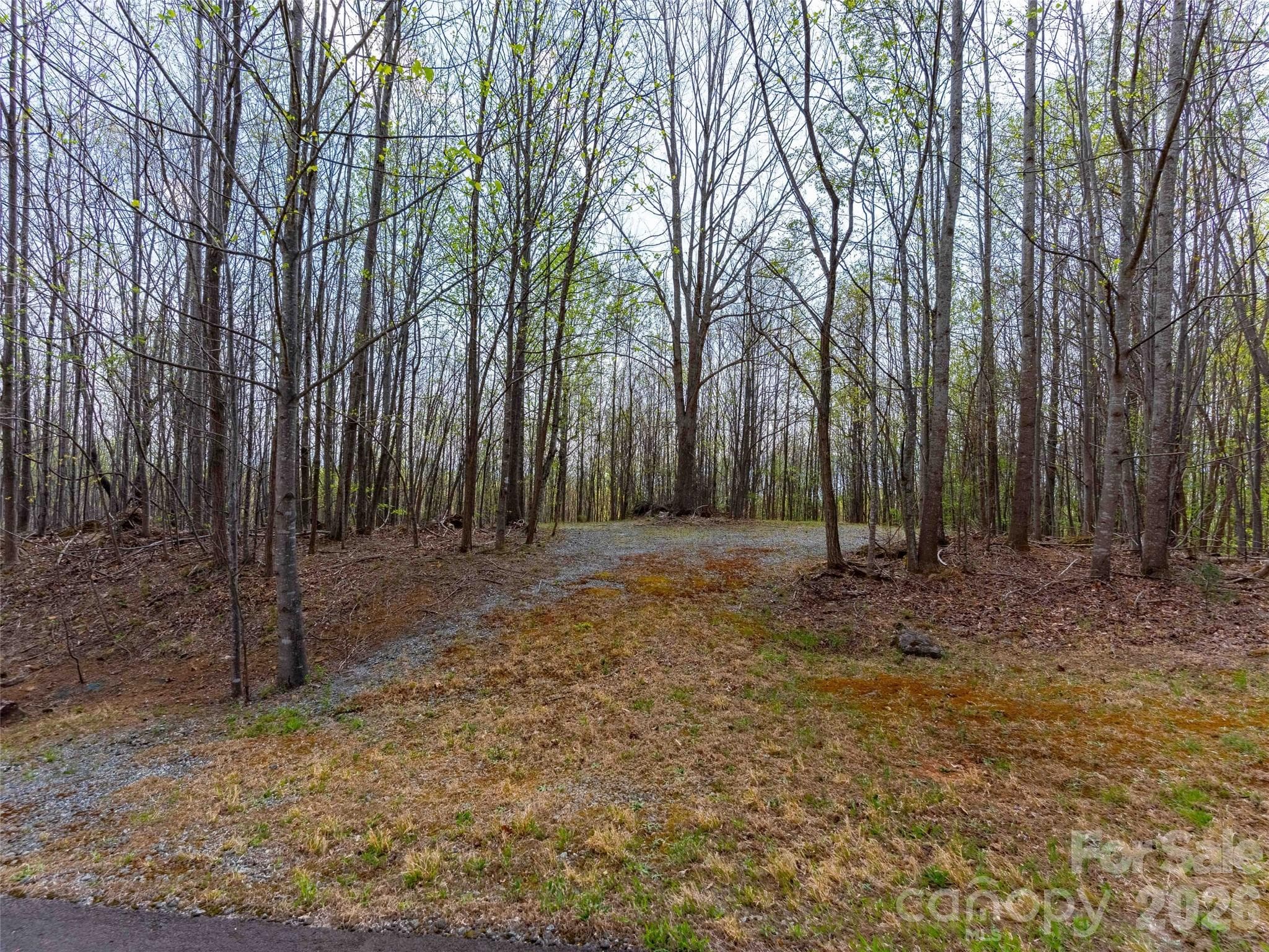 Lot at Mill Spring, photo 6 of 18