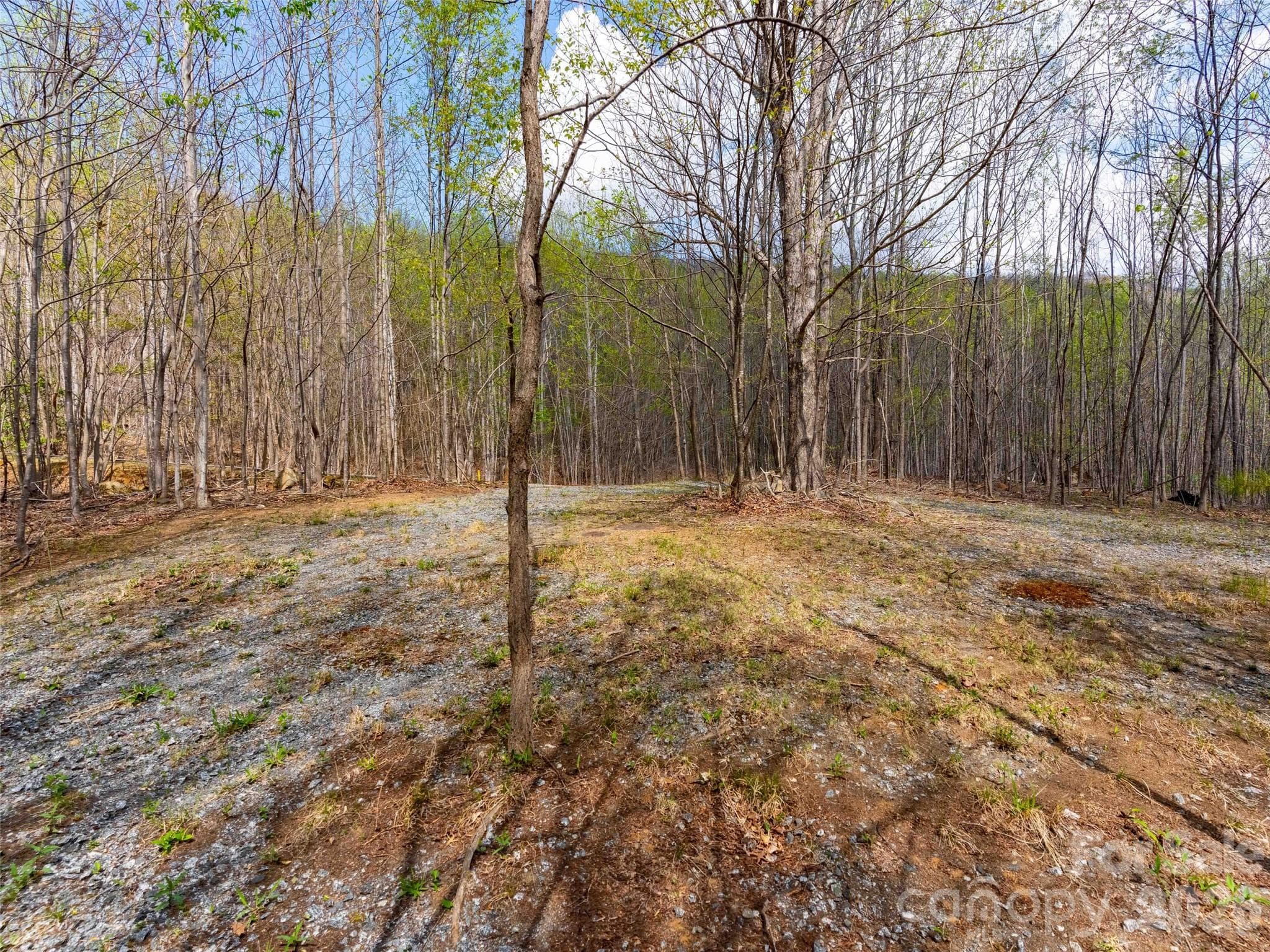 Lot at Mill Spring, photo 7 of 18