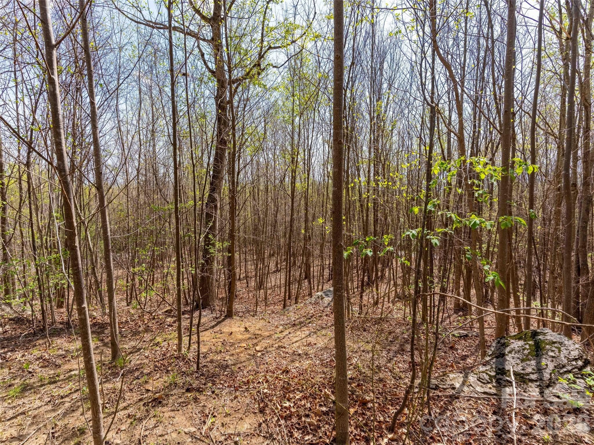 Lot at Mill Spring, photo 8 of 18